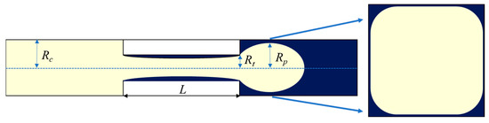 Modeling Snap-Off during Gas–Liquid Flow by Using Lattice