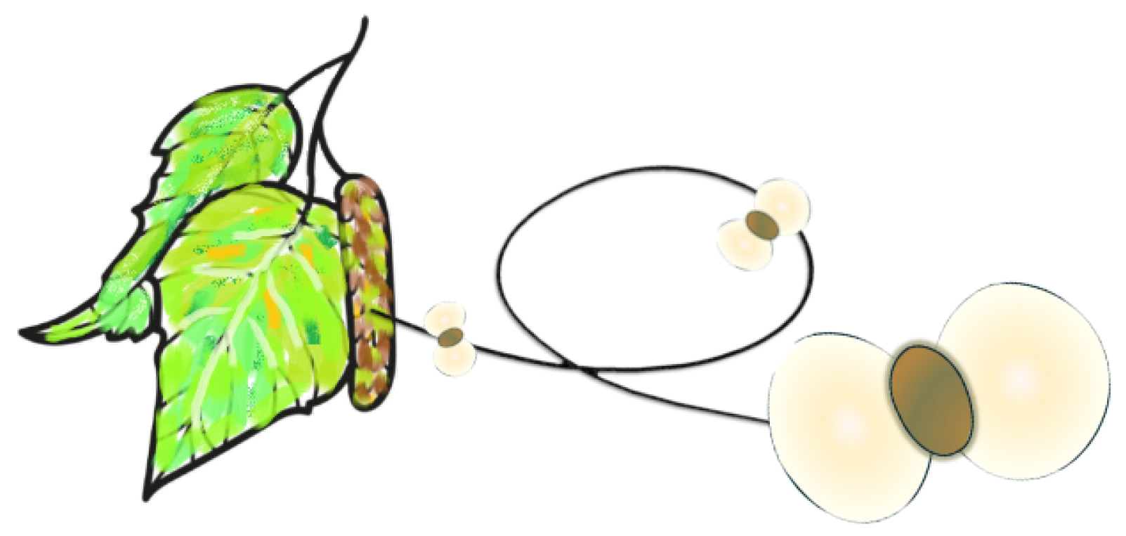 Energies 17 04104 g004 Energies 17 04104 g004