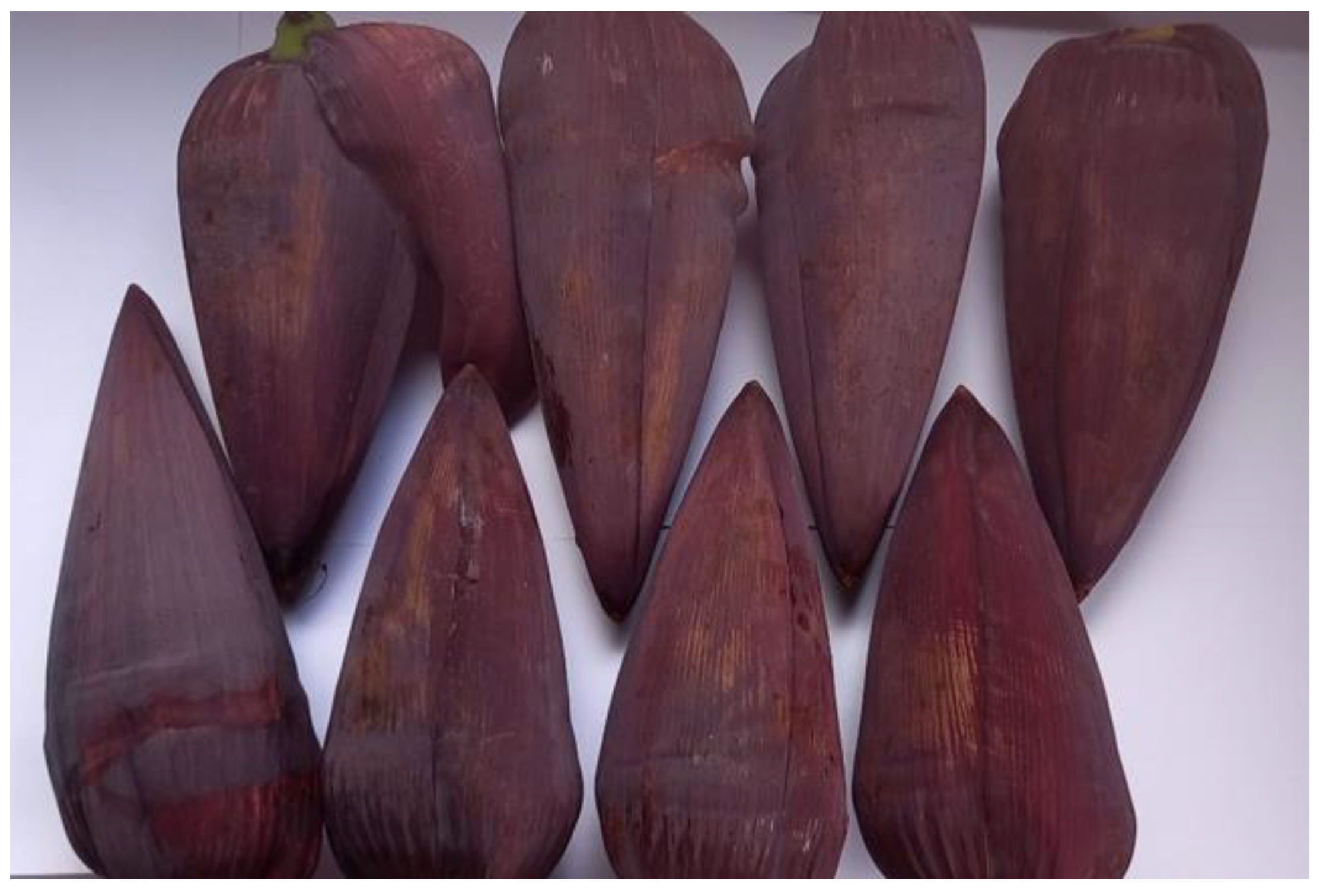 Energies 17 04119 g001