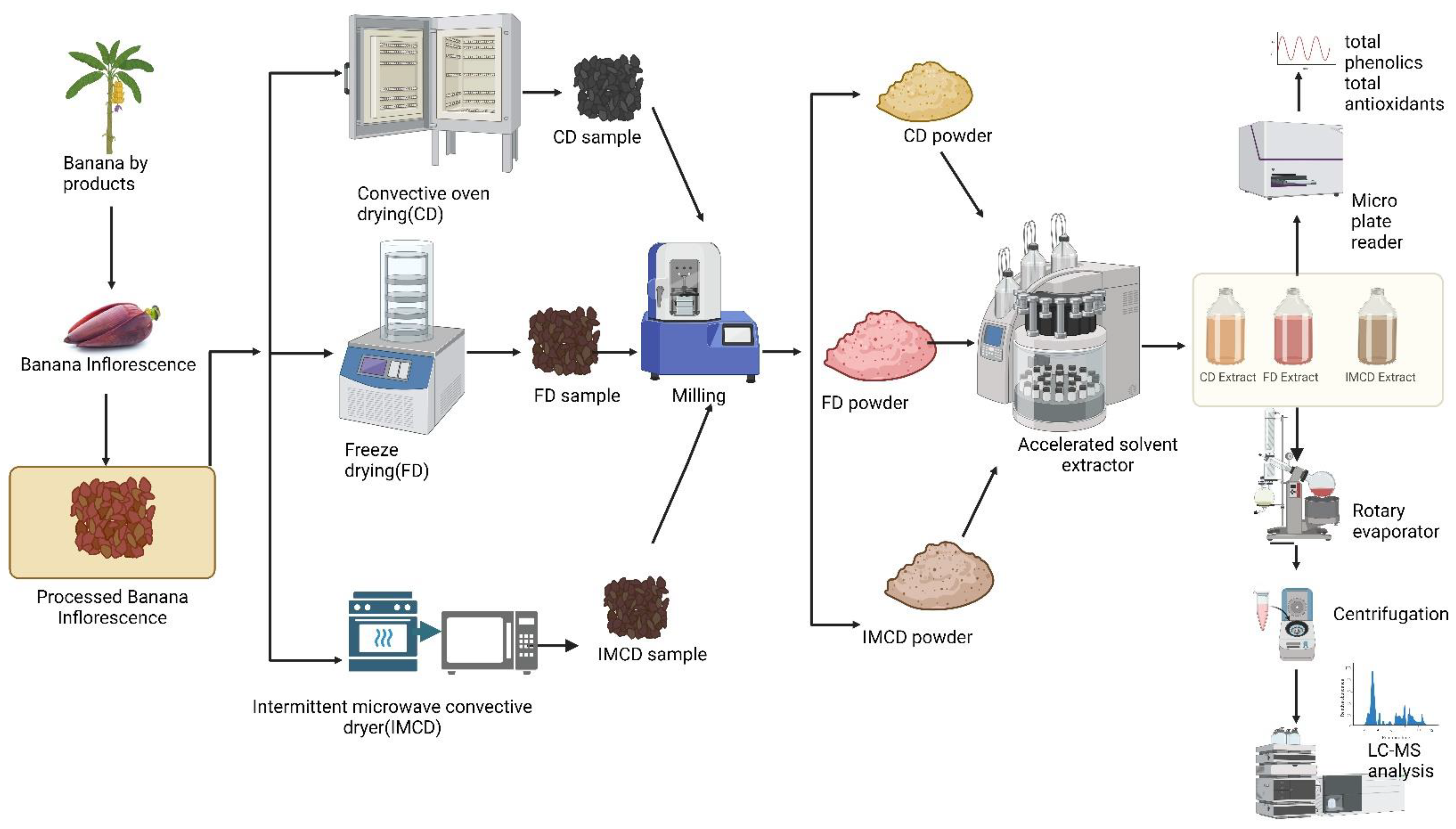 Energies 17 04119 g003