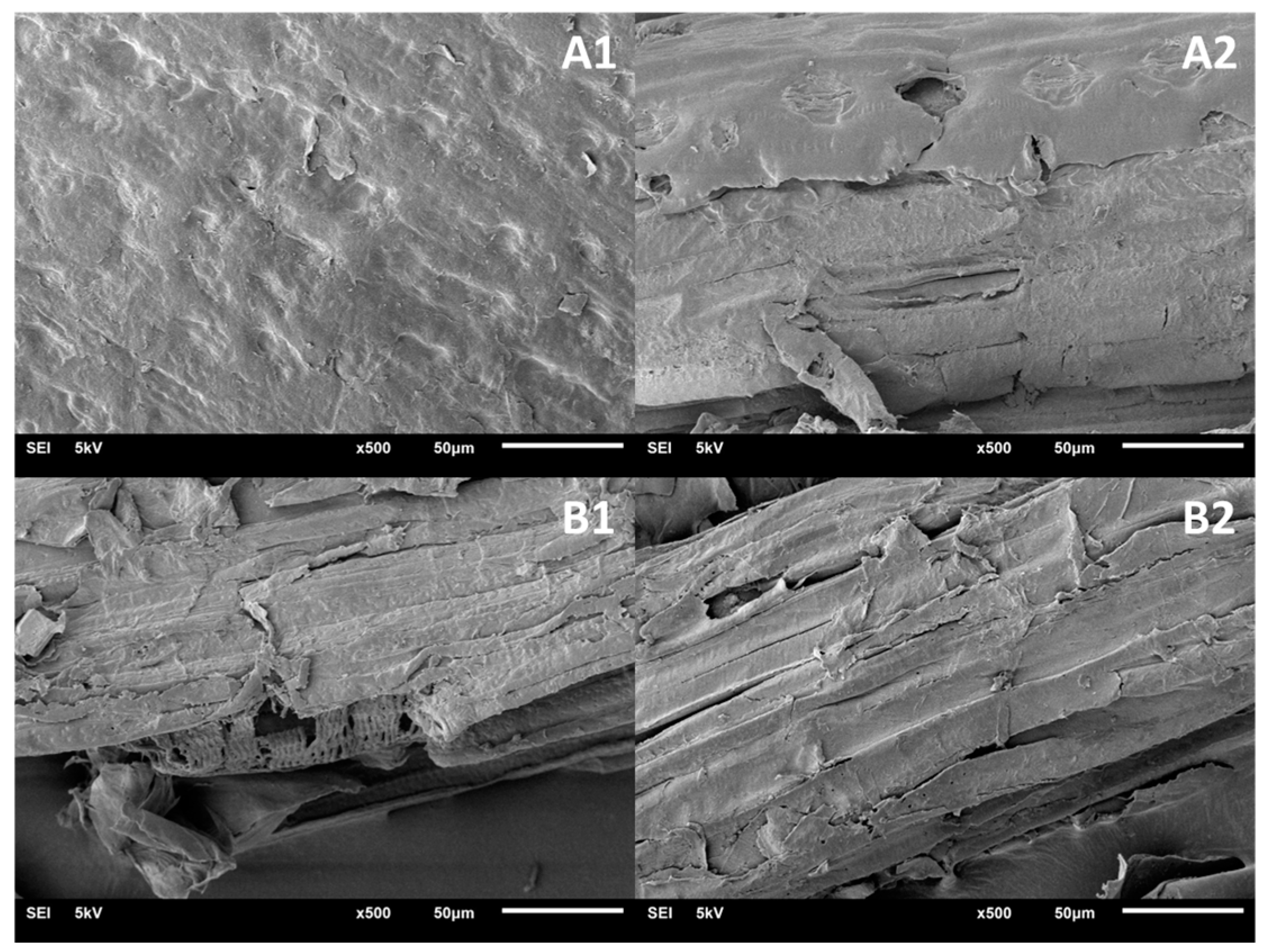 Energies 17 04257 g006