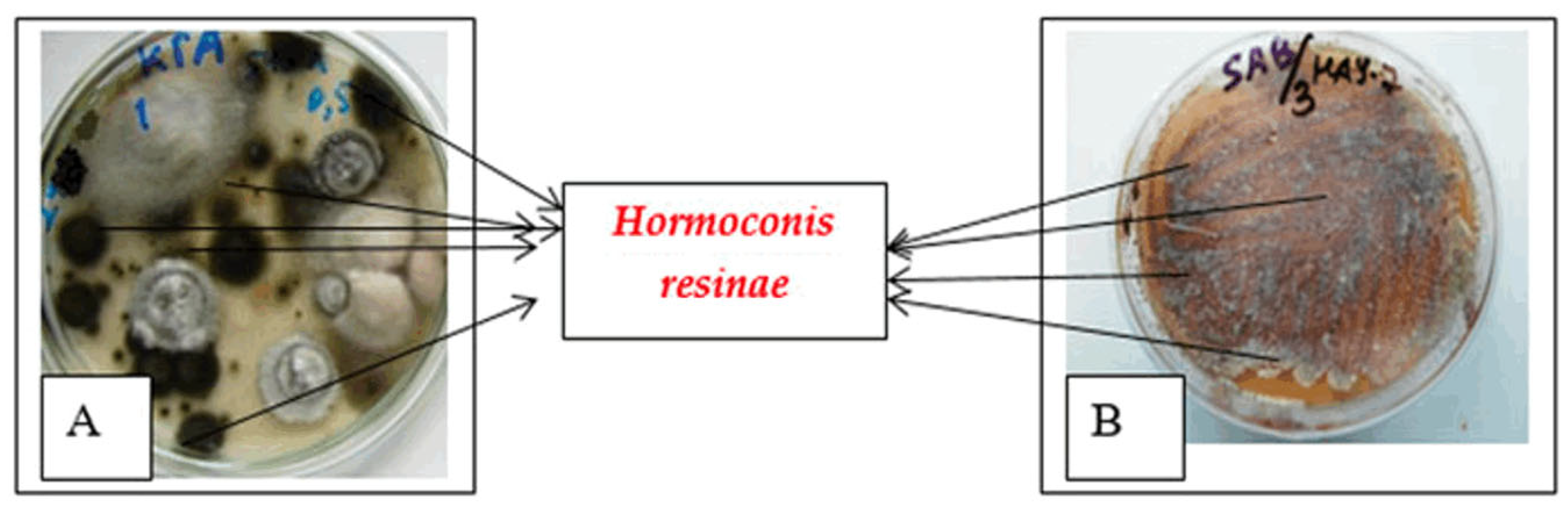 Energies 17 04267 g008