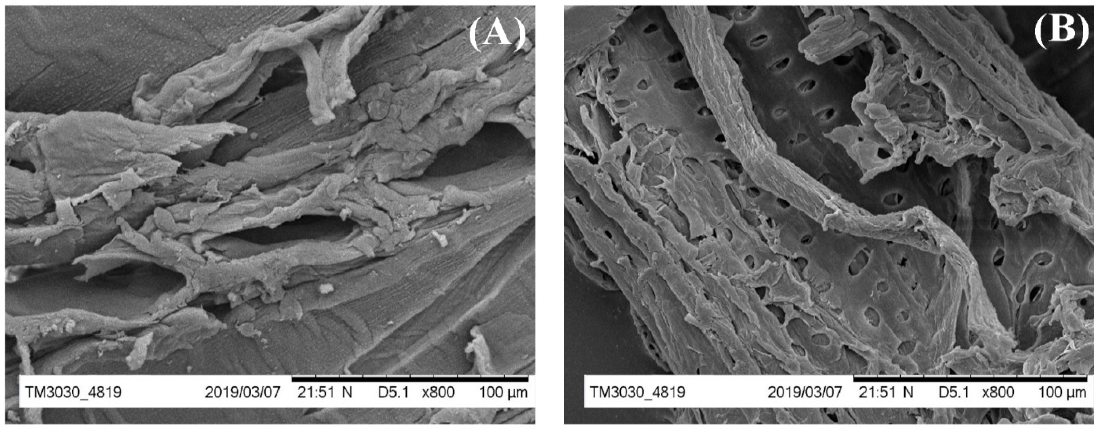 Energies 17 04605 g003