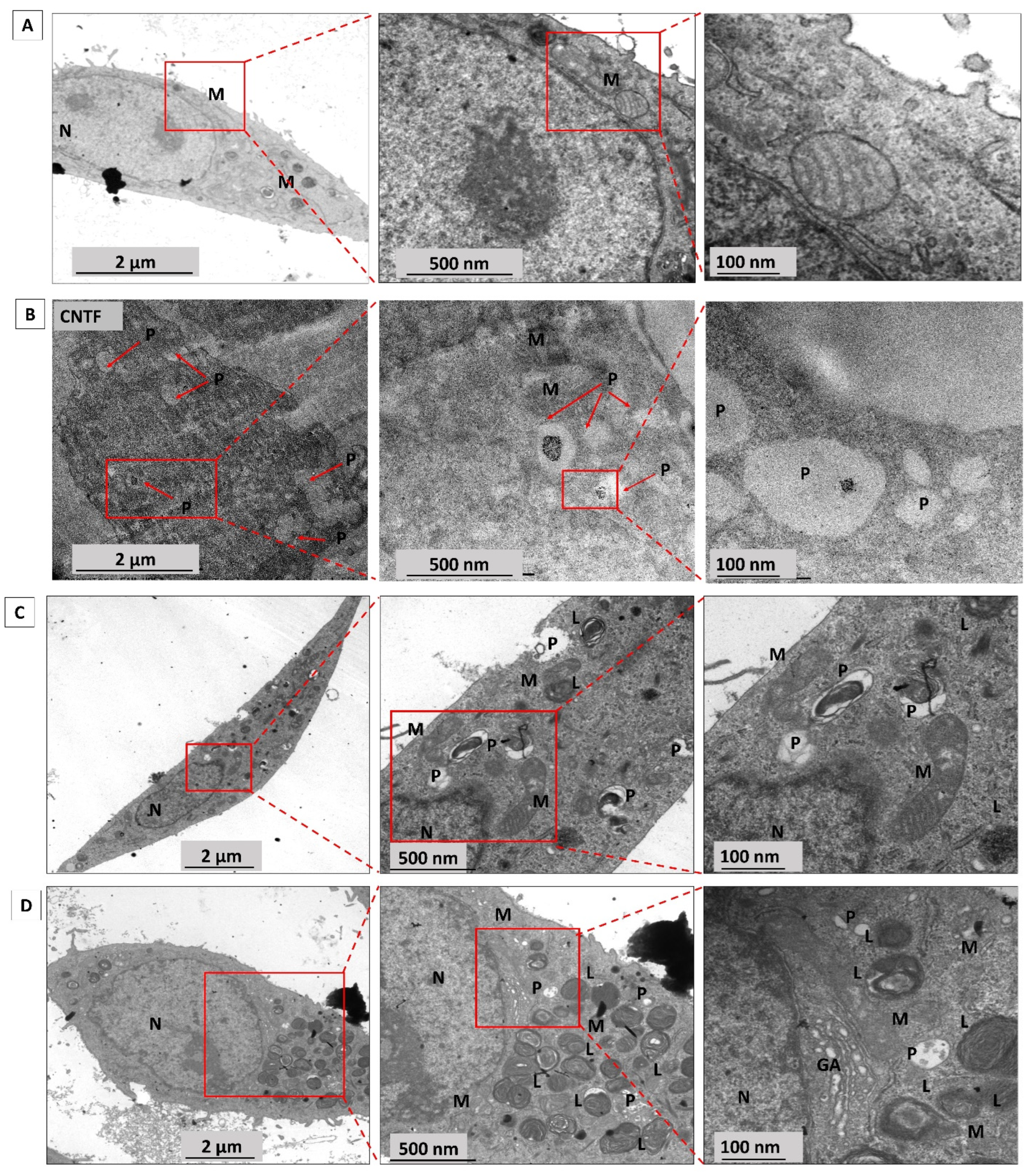 Energies 17 04646 g006