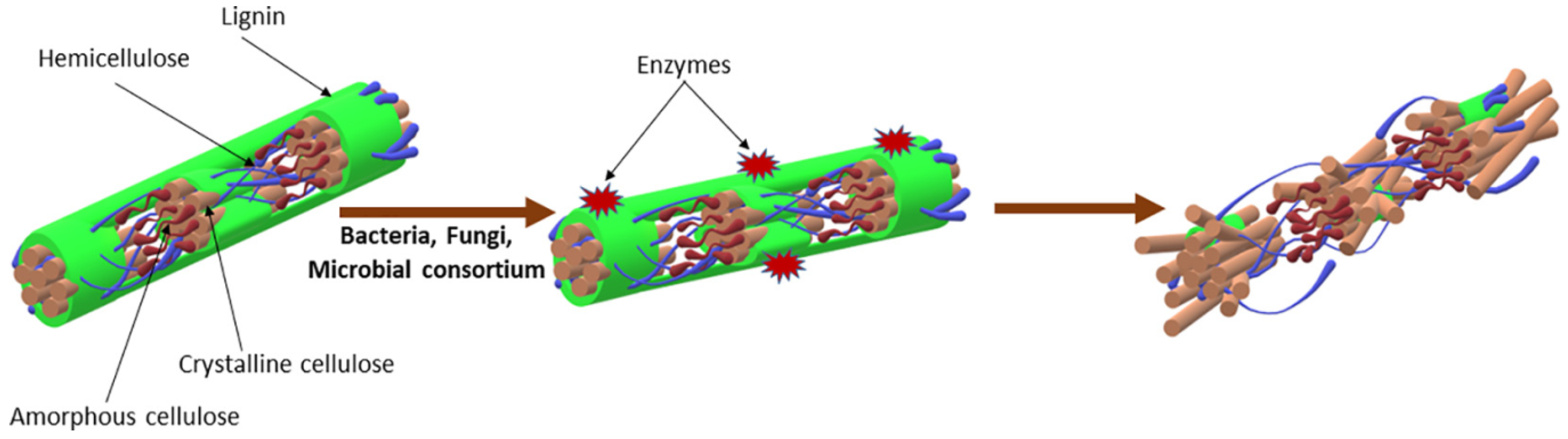 Energies 17 04662 g004