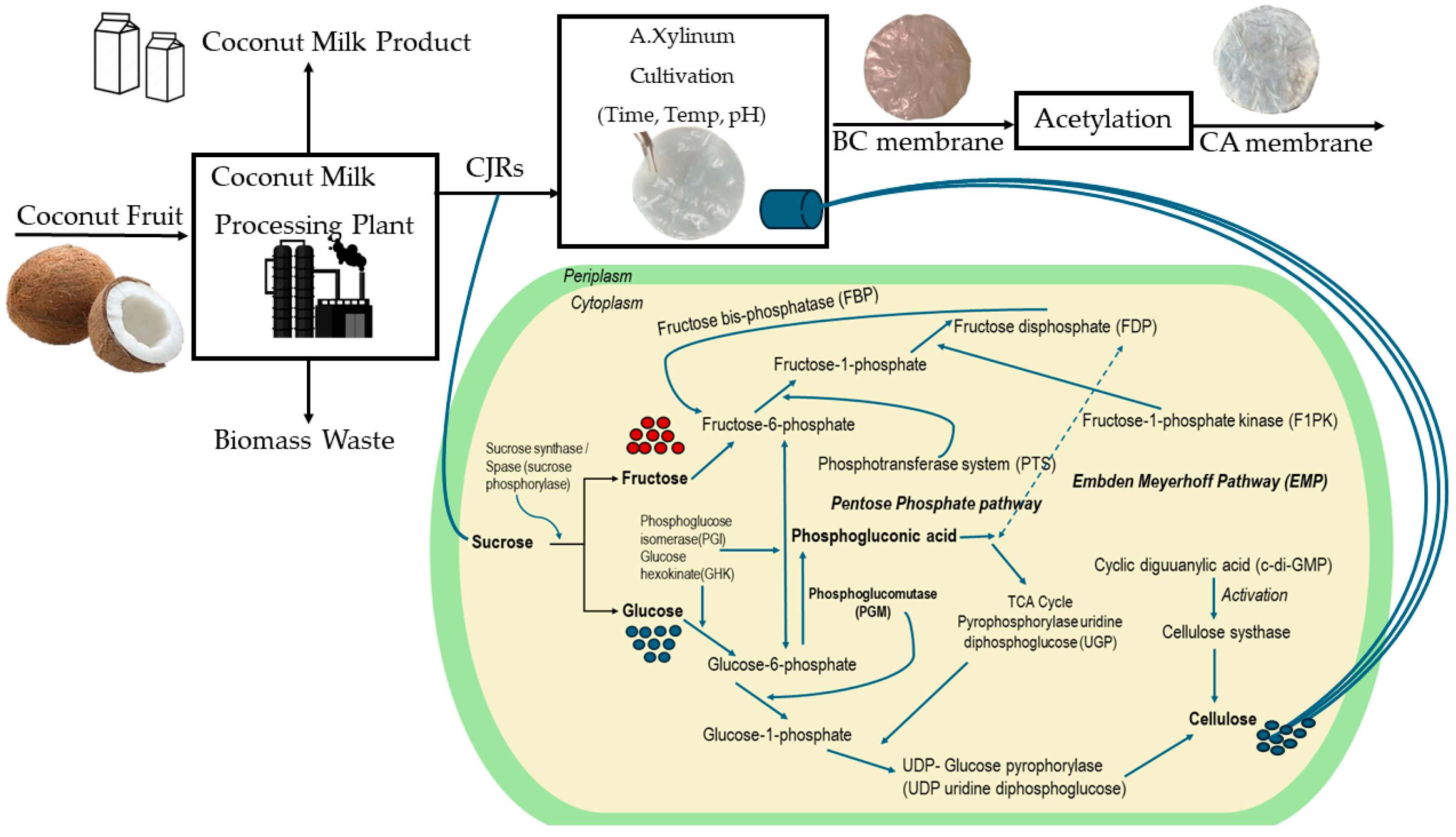 Energies 17 04750 g001