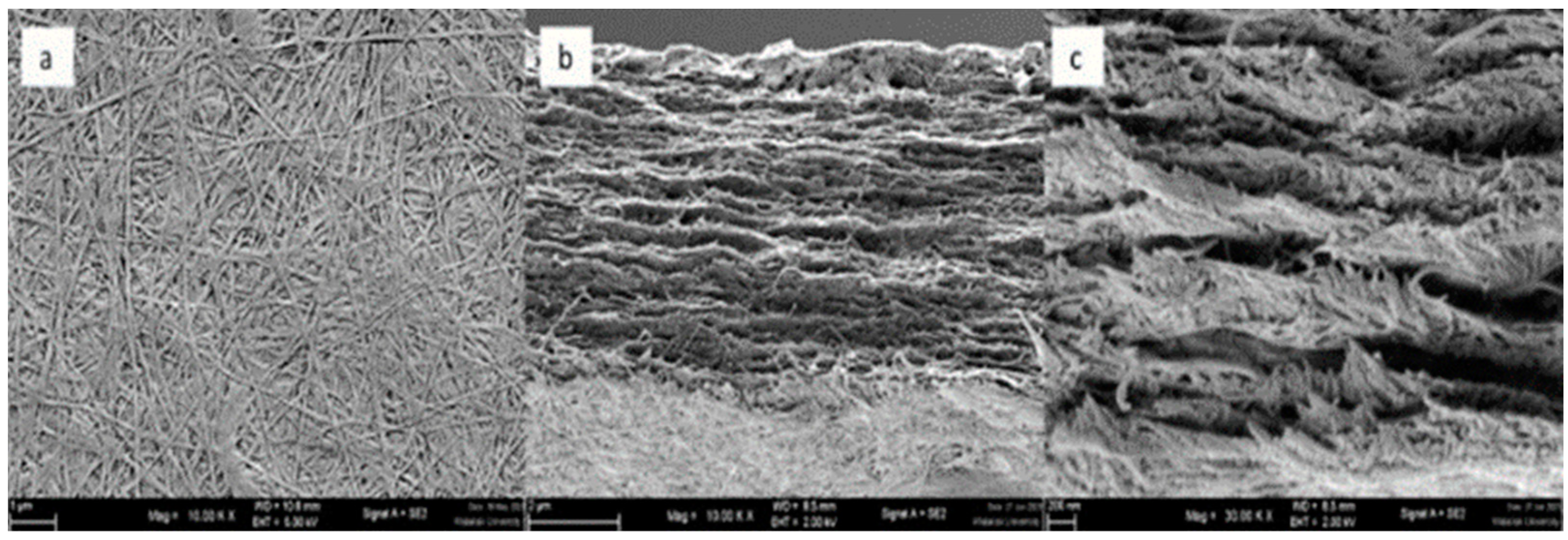 Energies 17 04750 g005