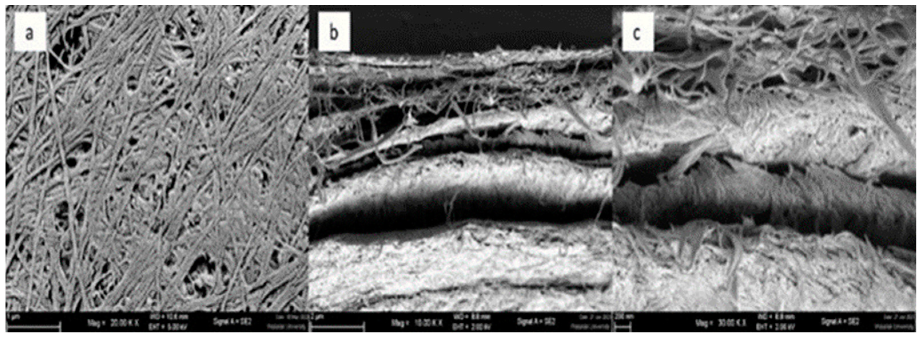 Energies 17 04750 g006