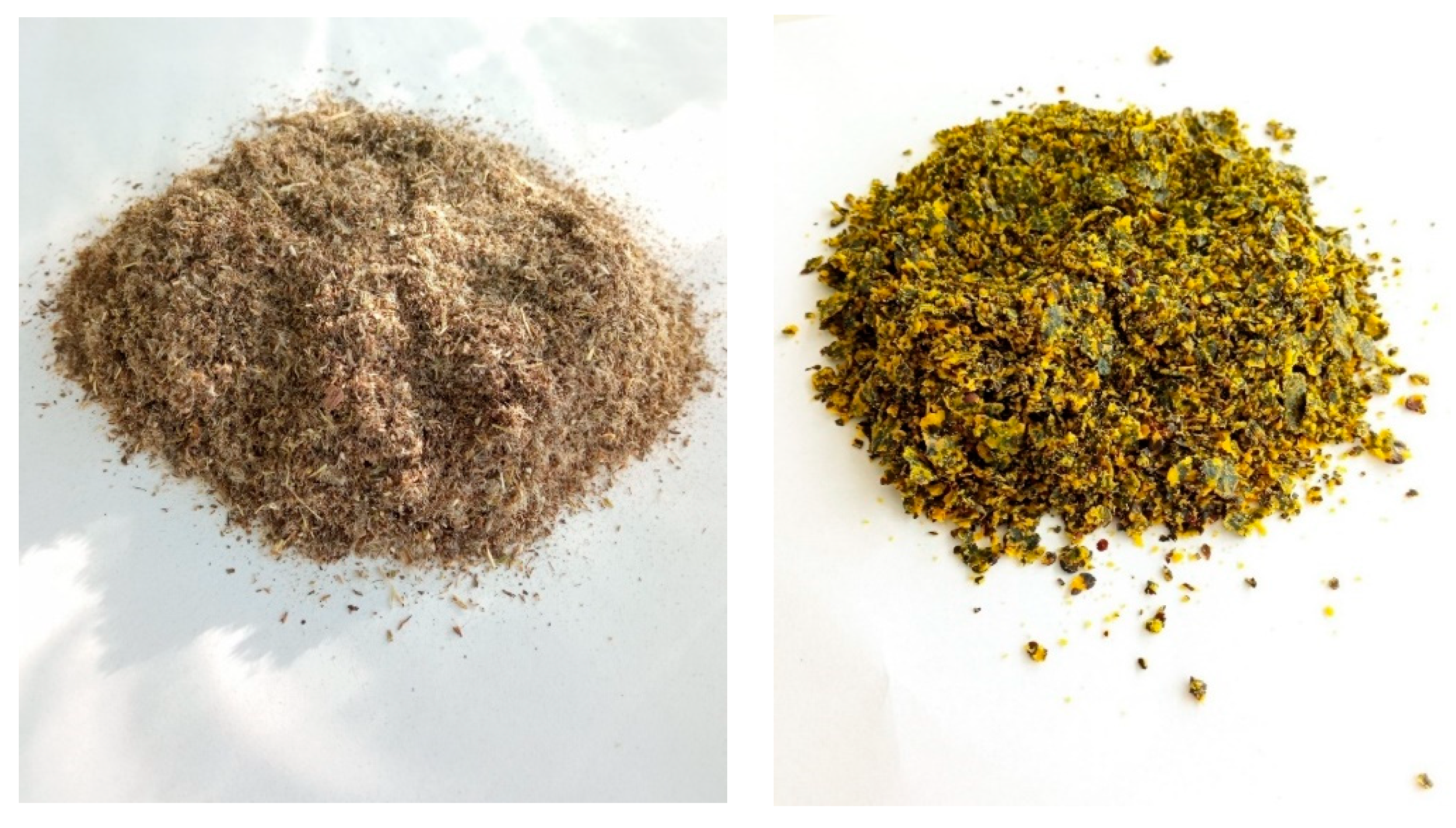 Energies 17 04756 g004