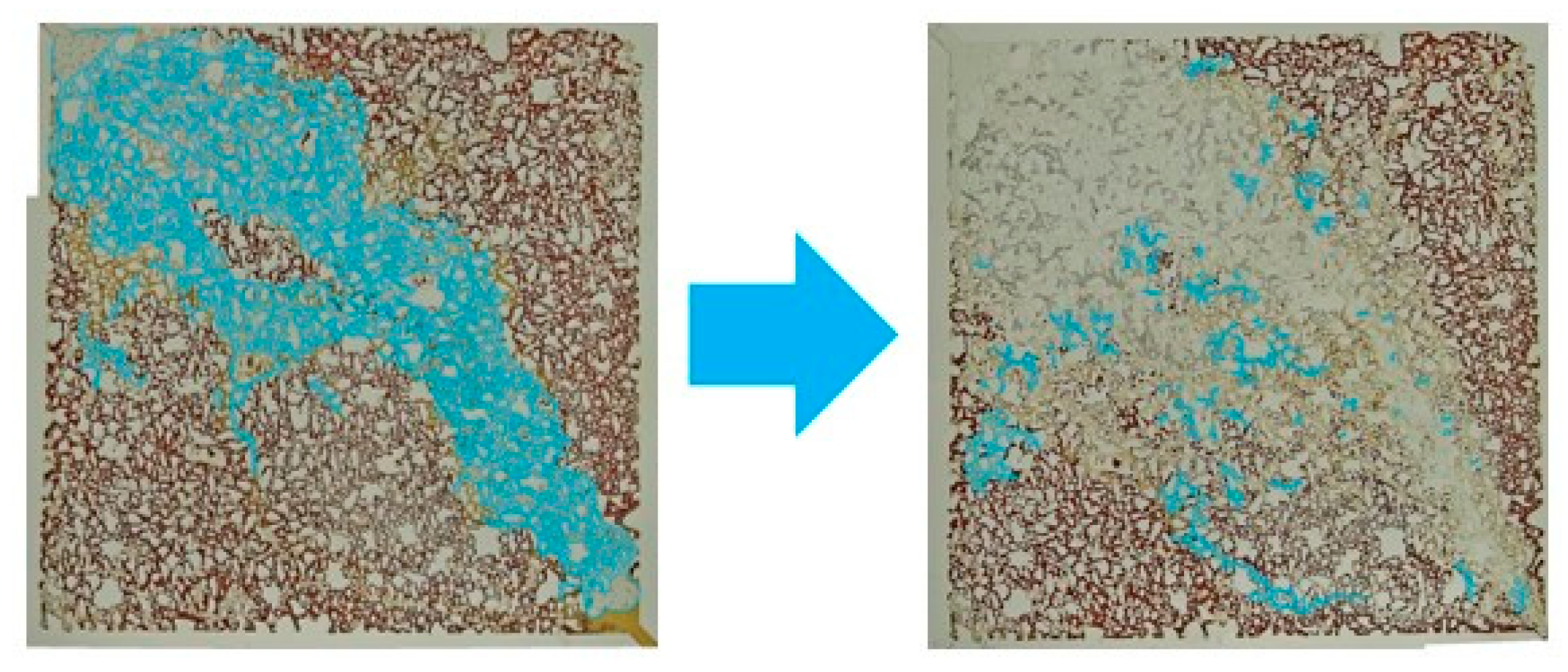 Energies 17 04783 g012