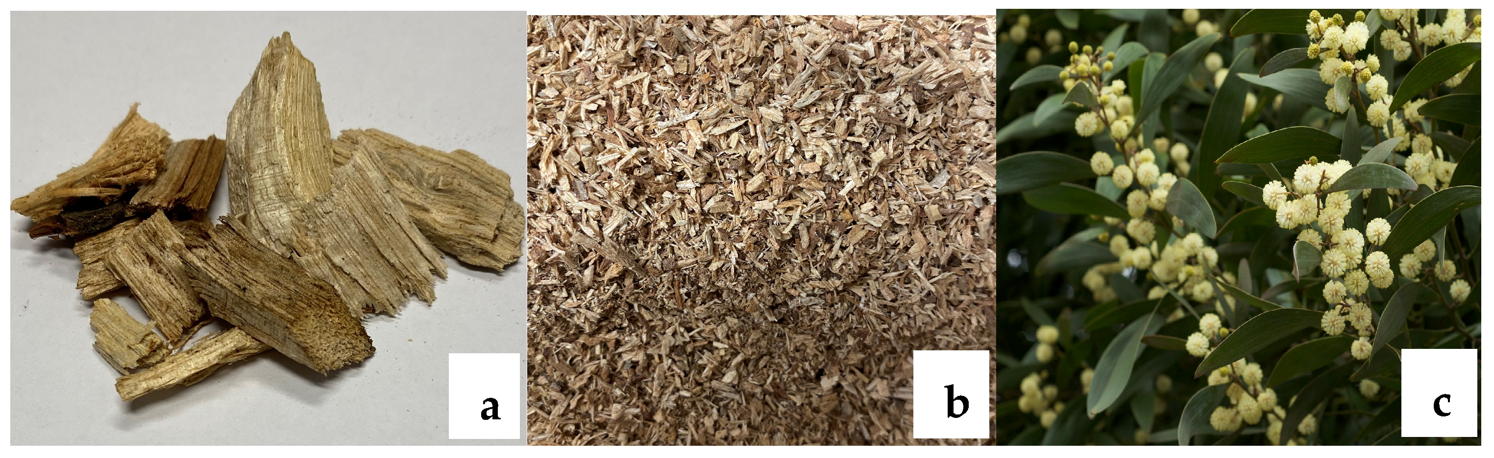 Energies 17 04899 g001