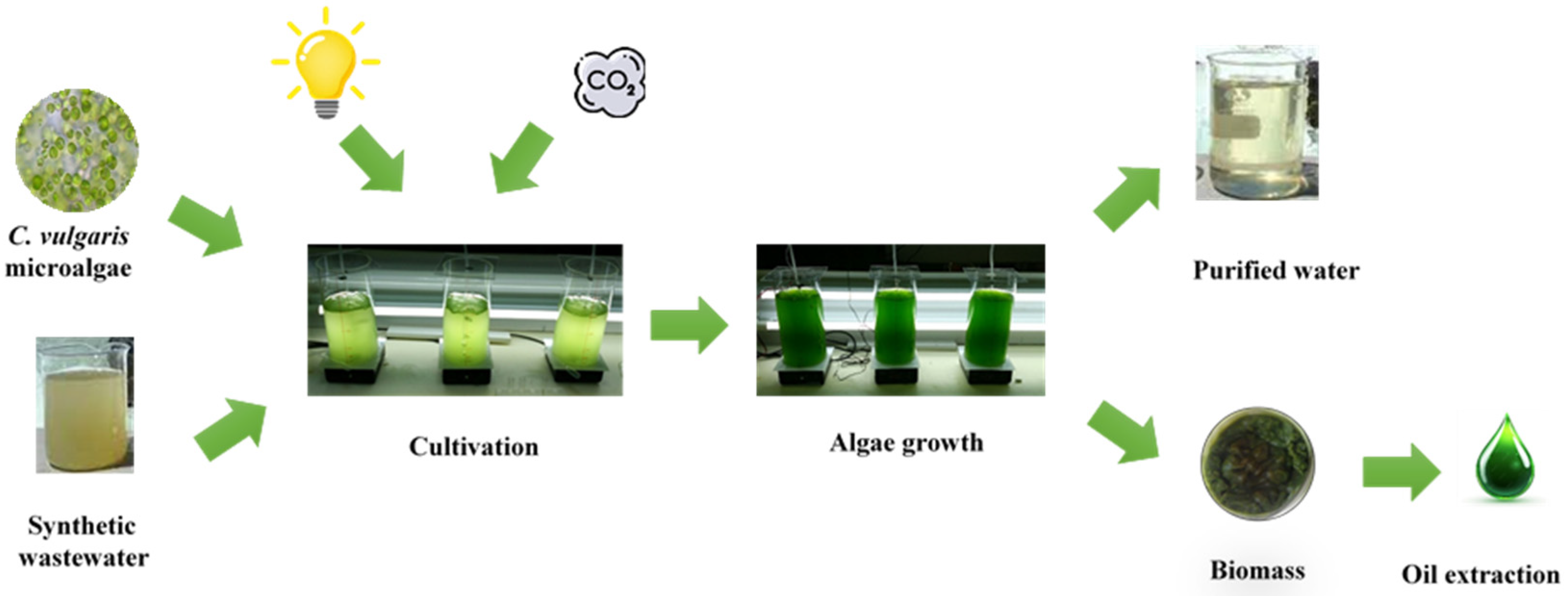 Energies 17 04911 g001