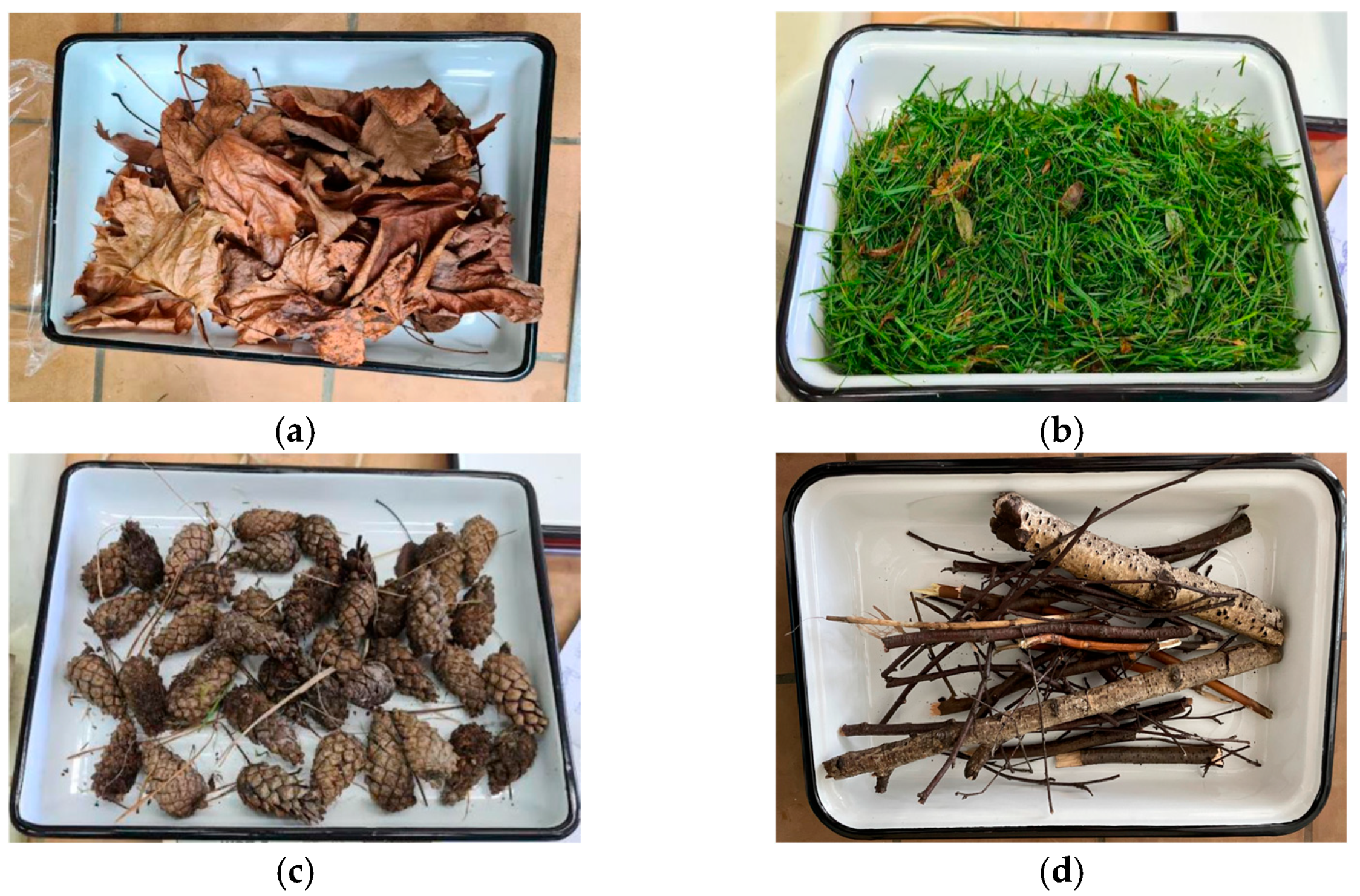 Energies 17 05056 g001