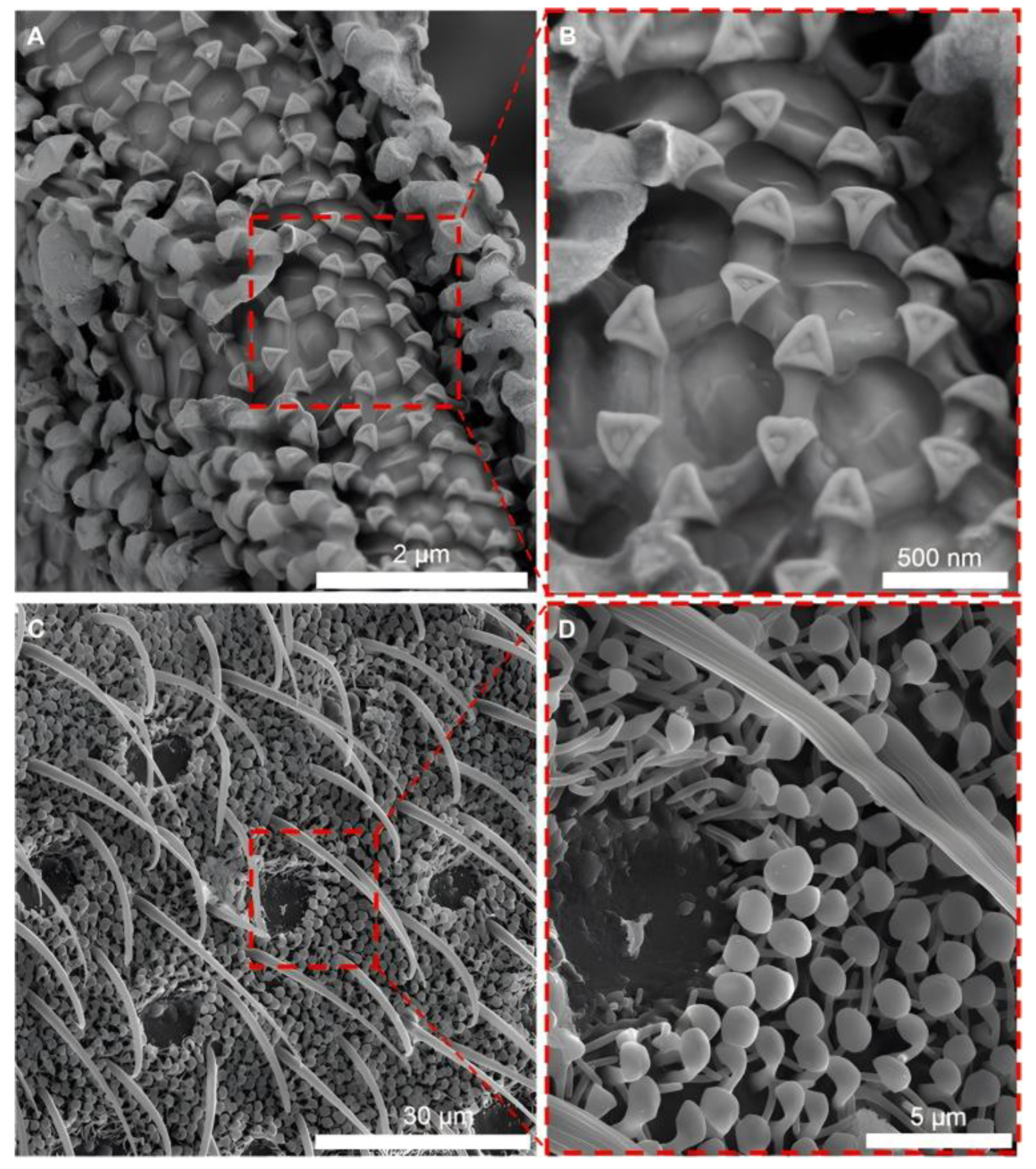 Energies 17 05149 g021 Energies 17 05149 g021
