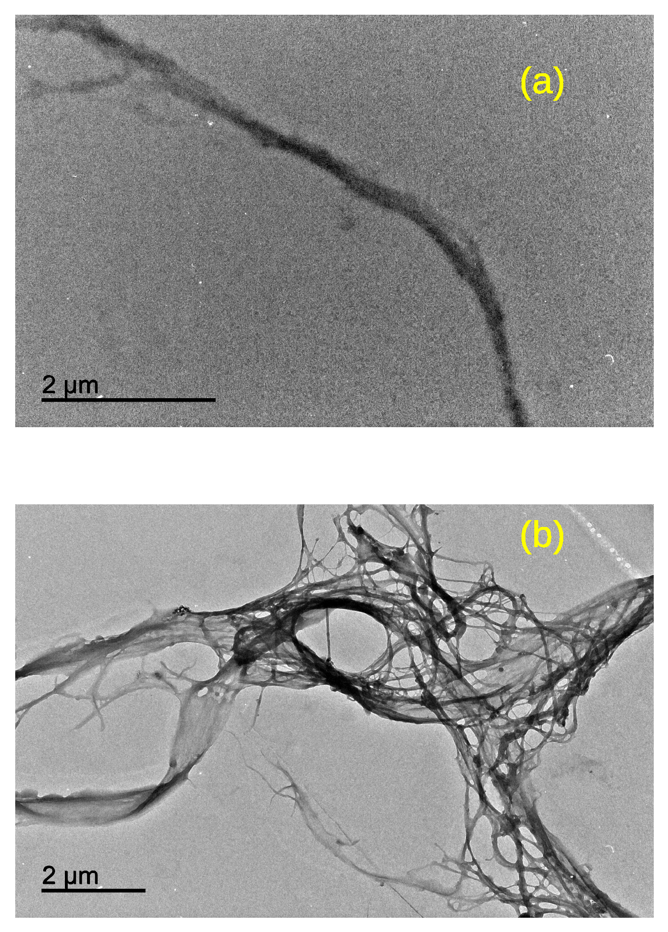 Energies 17 05298 g001