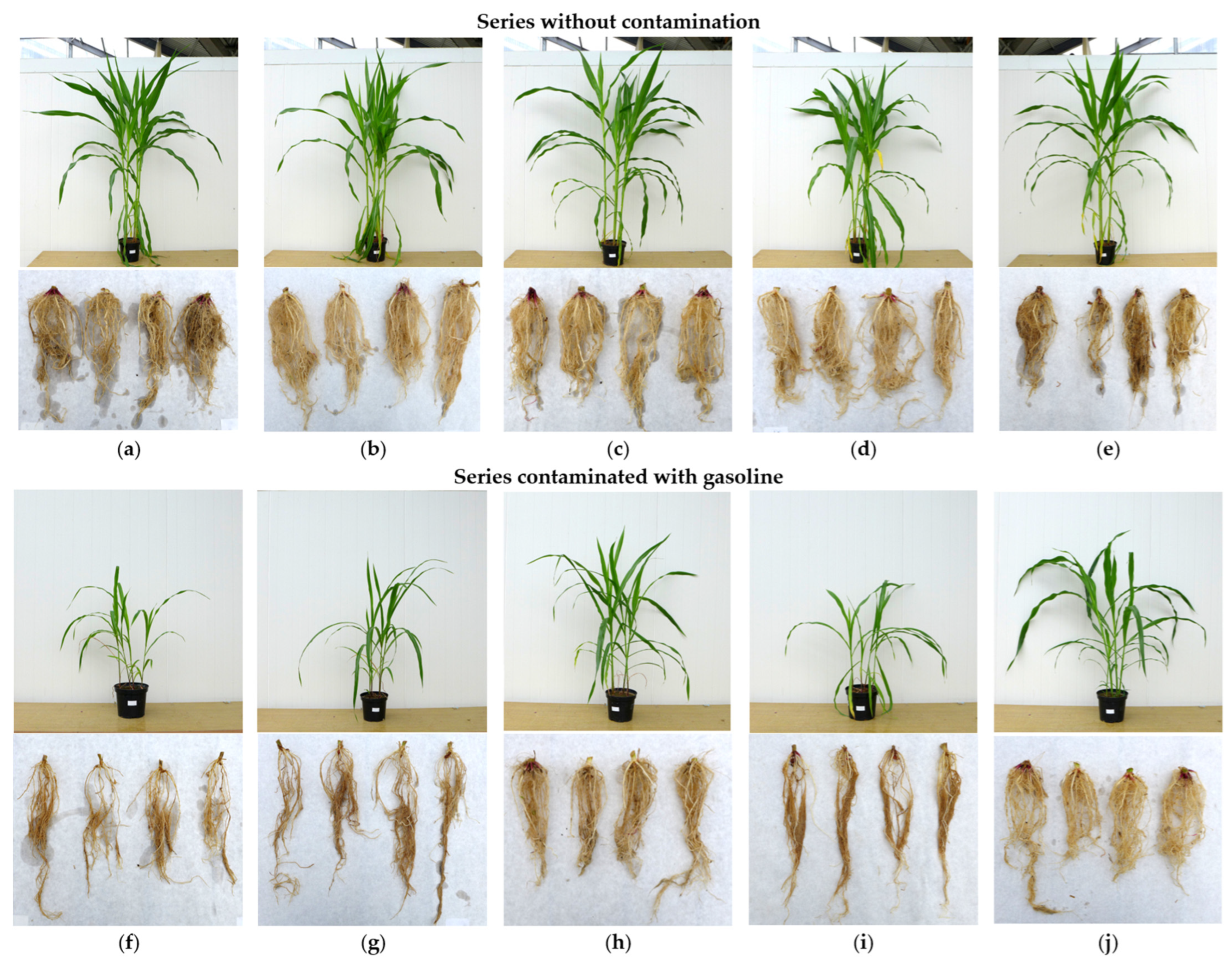 Energies 17 05322 g002