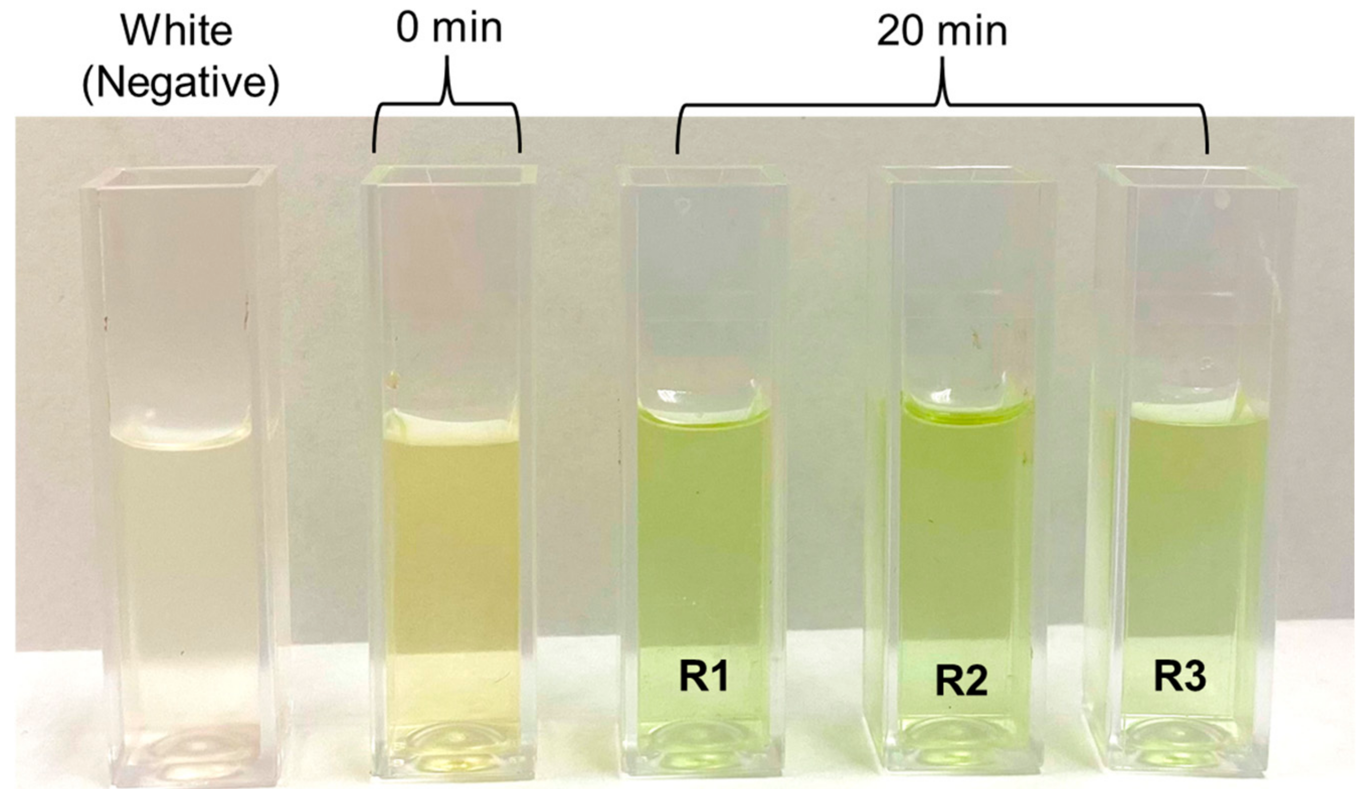 Energies 17 05458 g004