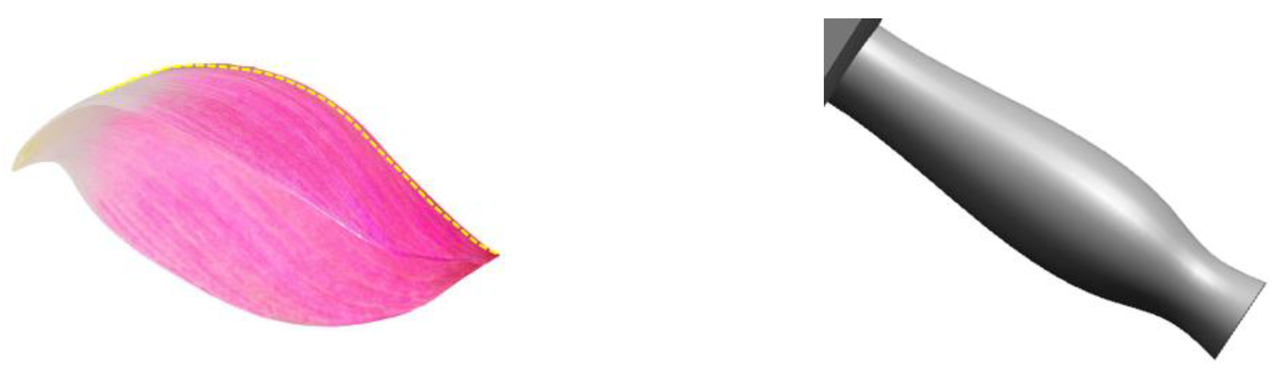 Energies 17 05612 g001