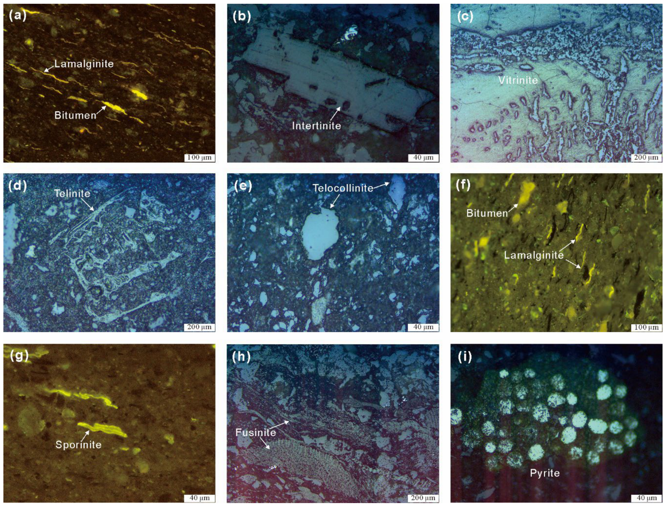 Energies 17 05654 g006