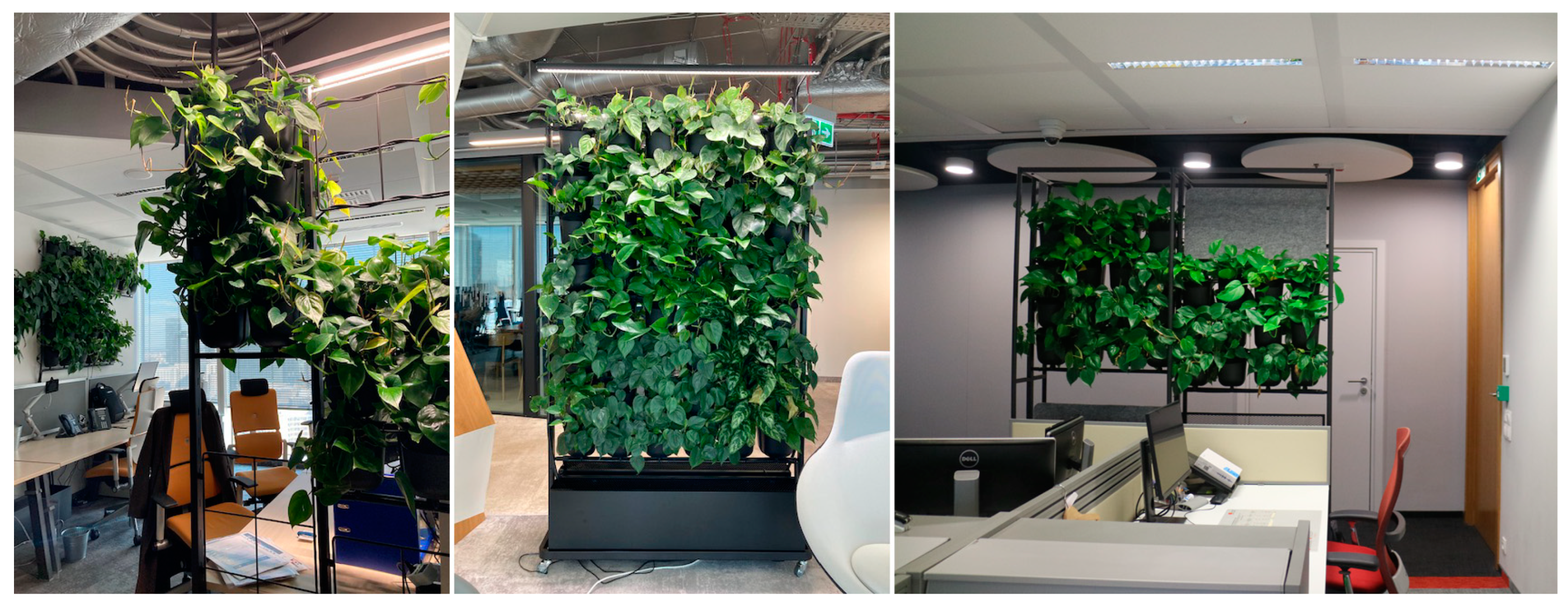 Energies 17 05690 g001