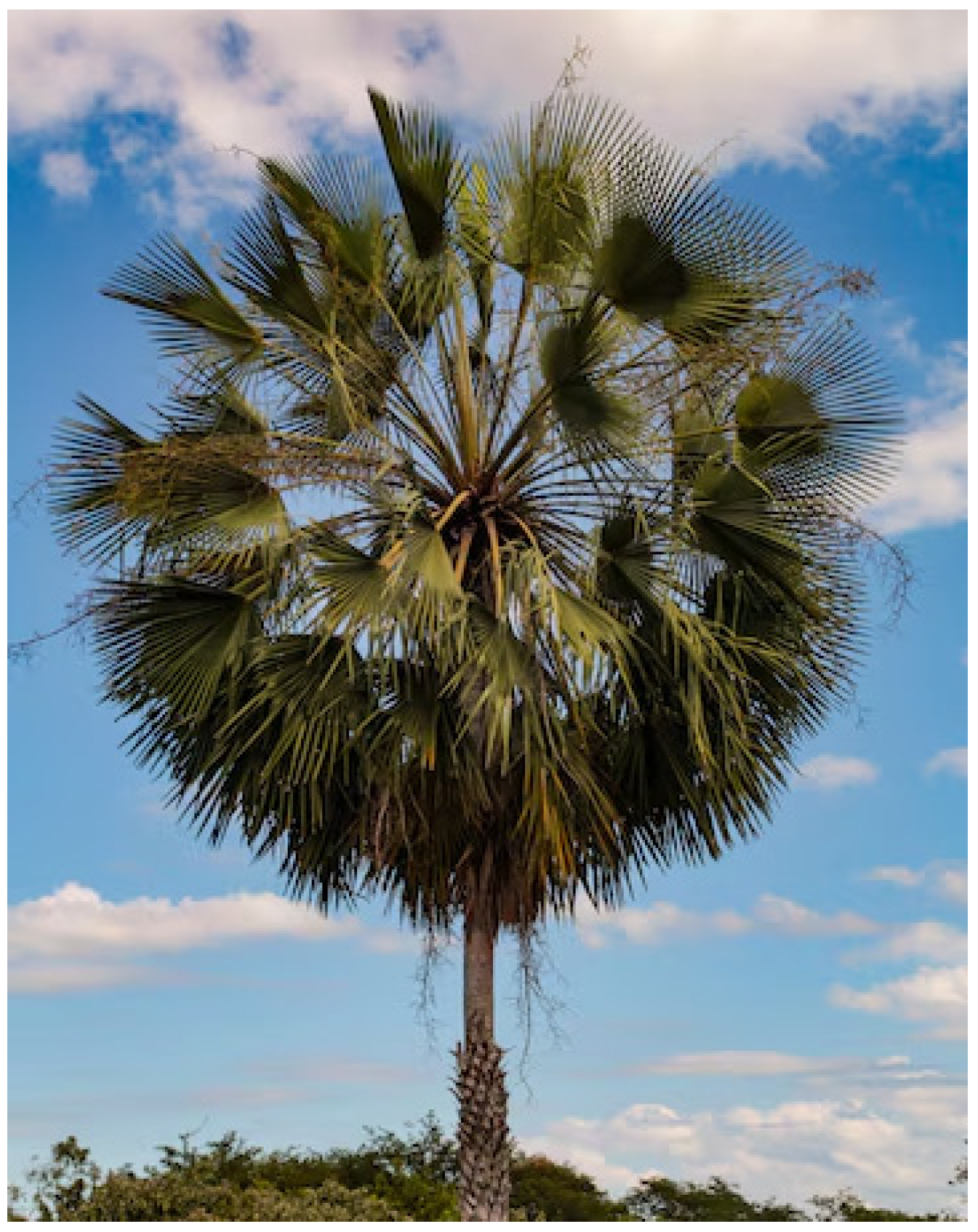 Energies 17 05851 g001