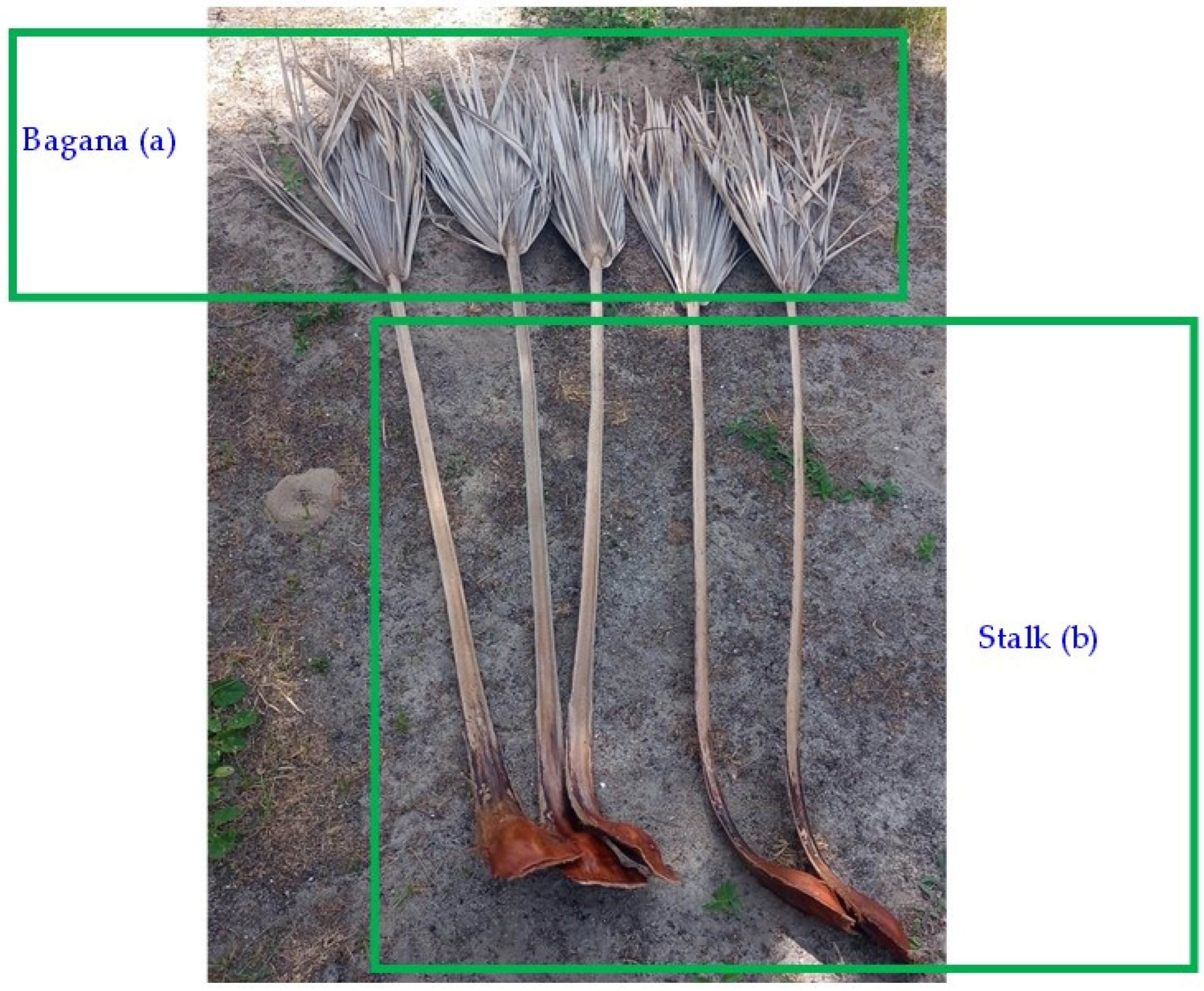 Energies 17 05851 g003