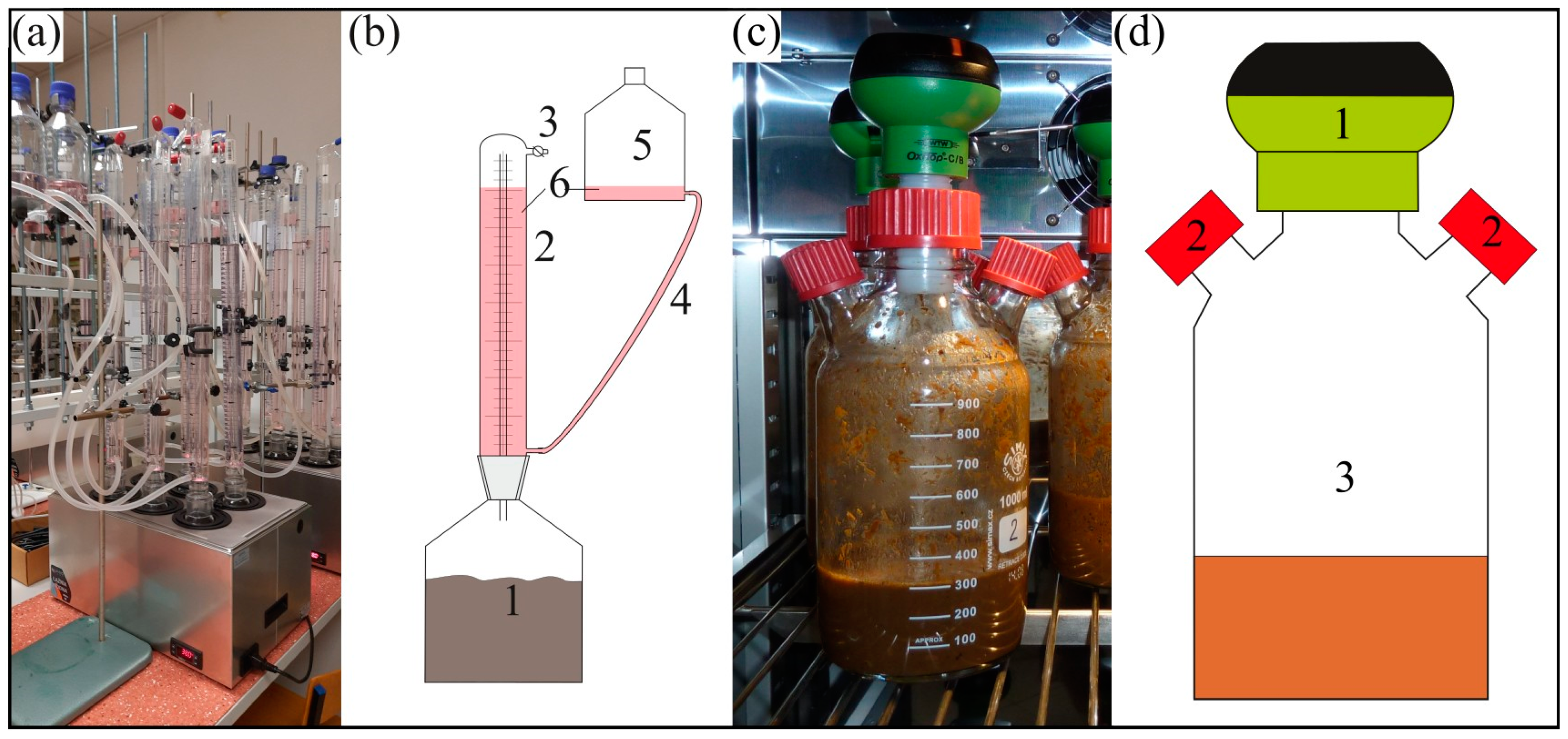 Energies 17 06038 g001