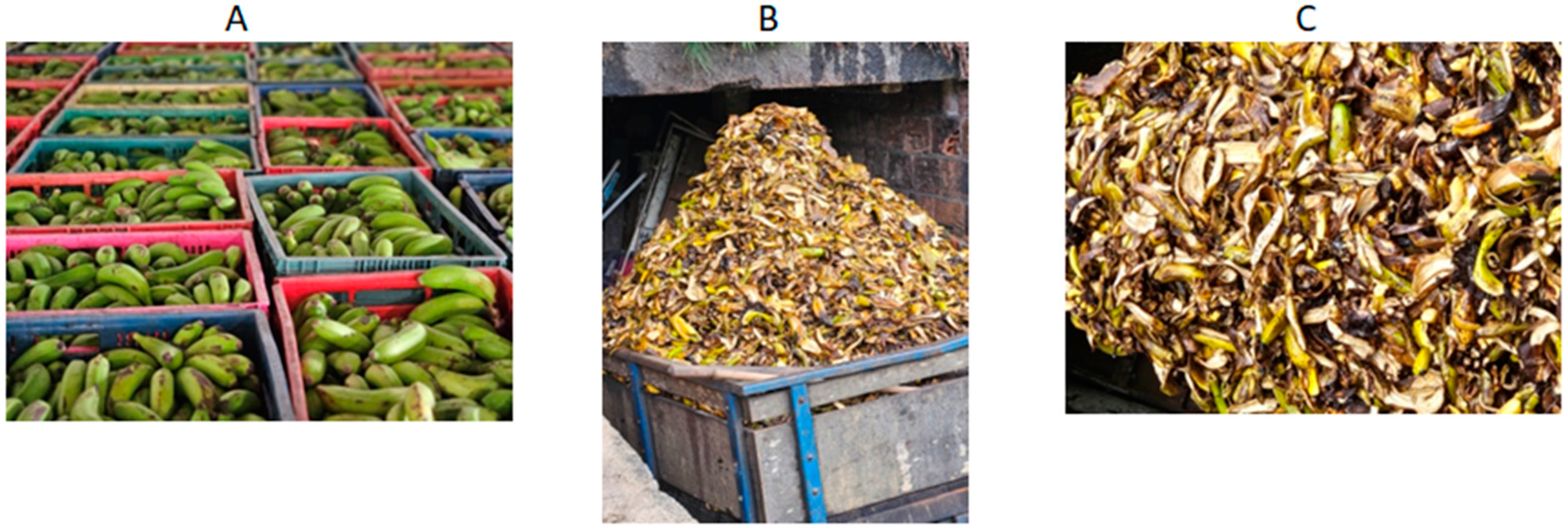 Energies 17 06149 g001