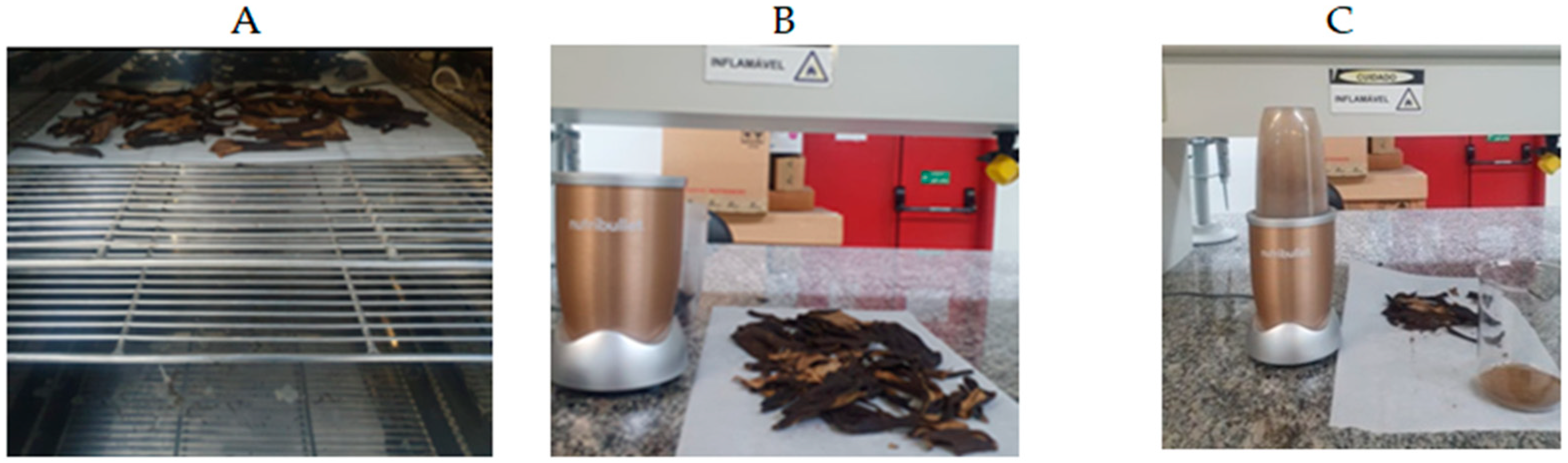 Energies 17 06149 g002