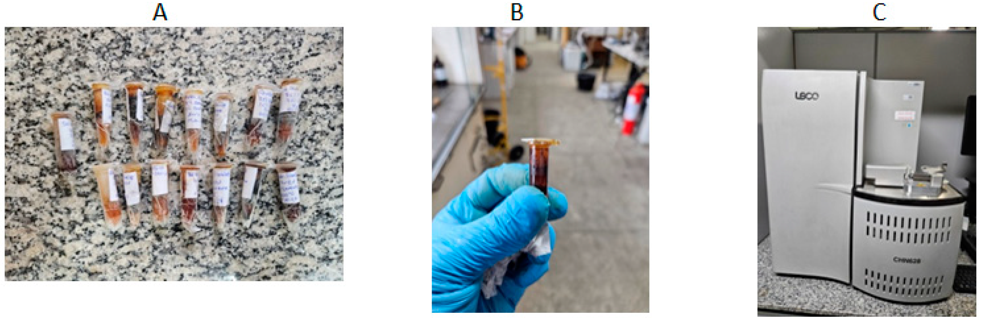 Energies 17 06149 g006