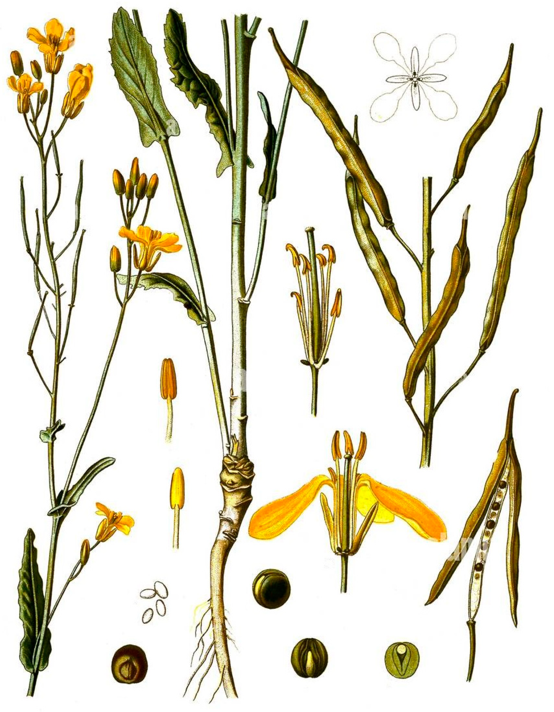 Energies 17 06177 g001