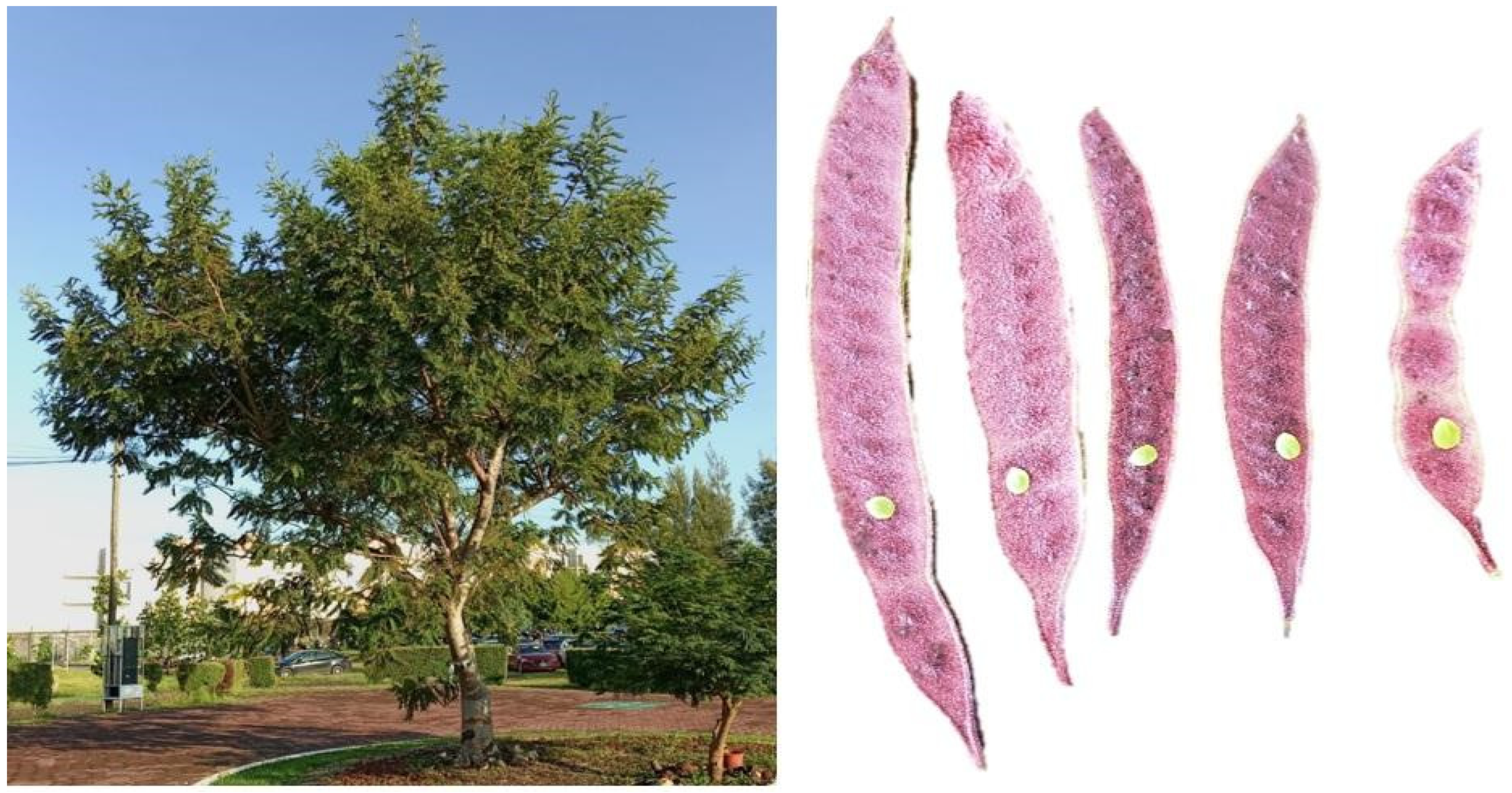 Energies 17 06364 g001