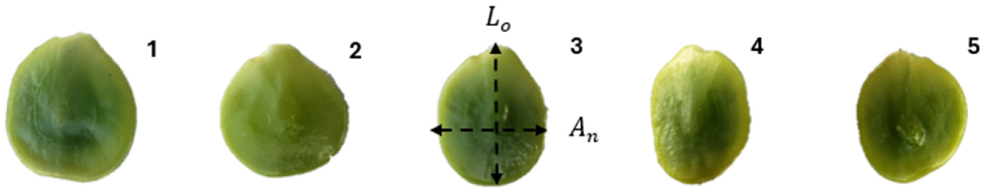 Energies 17 06364 g002