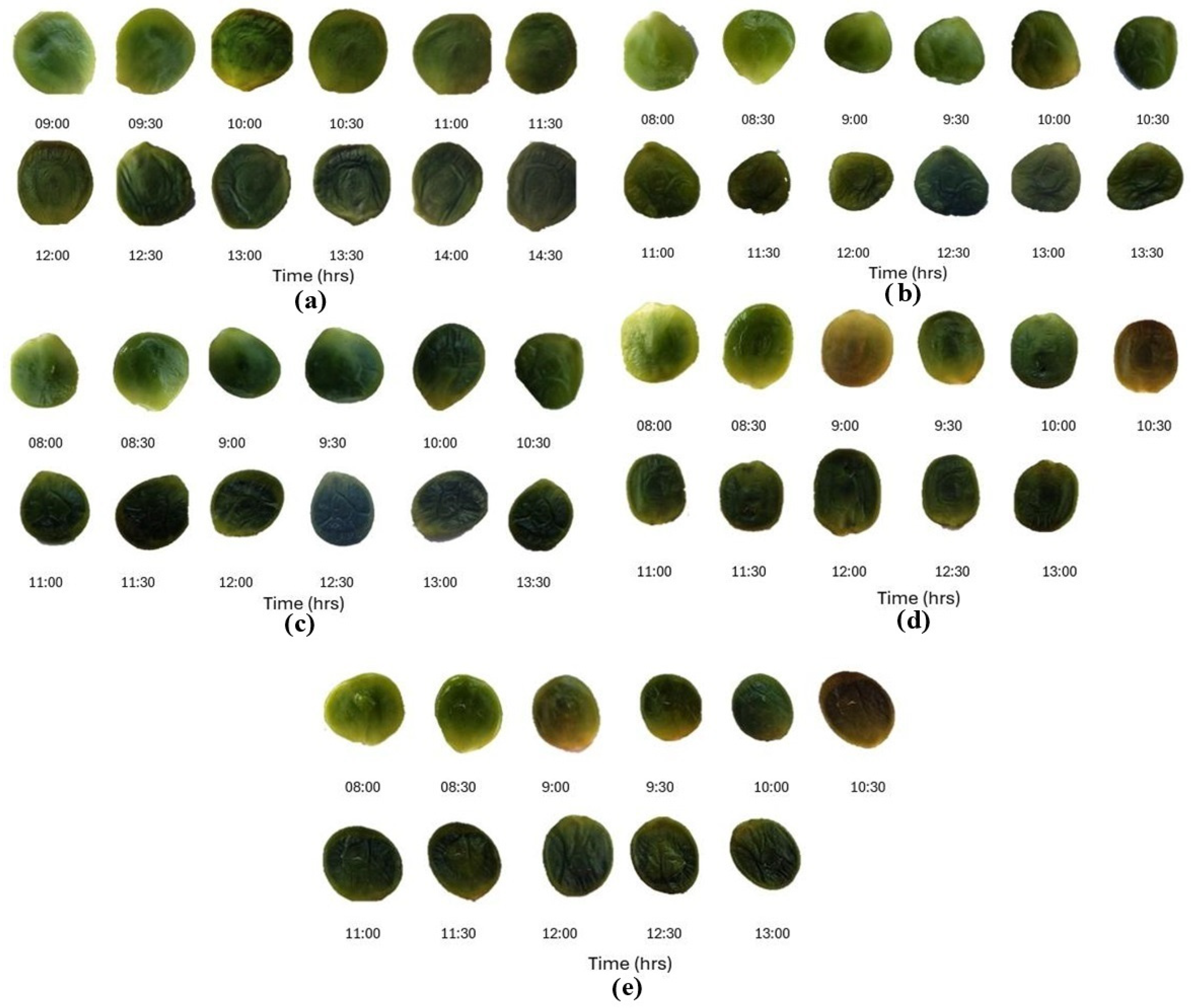 Energies 17 06364 g007