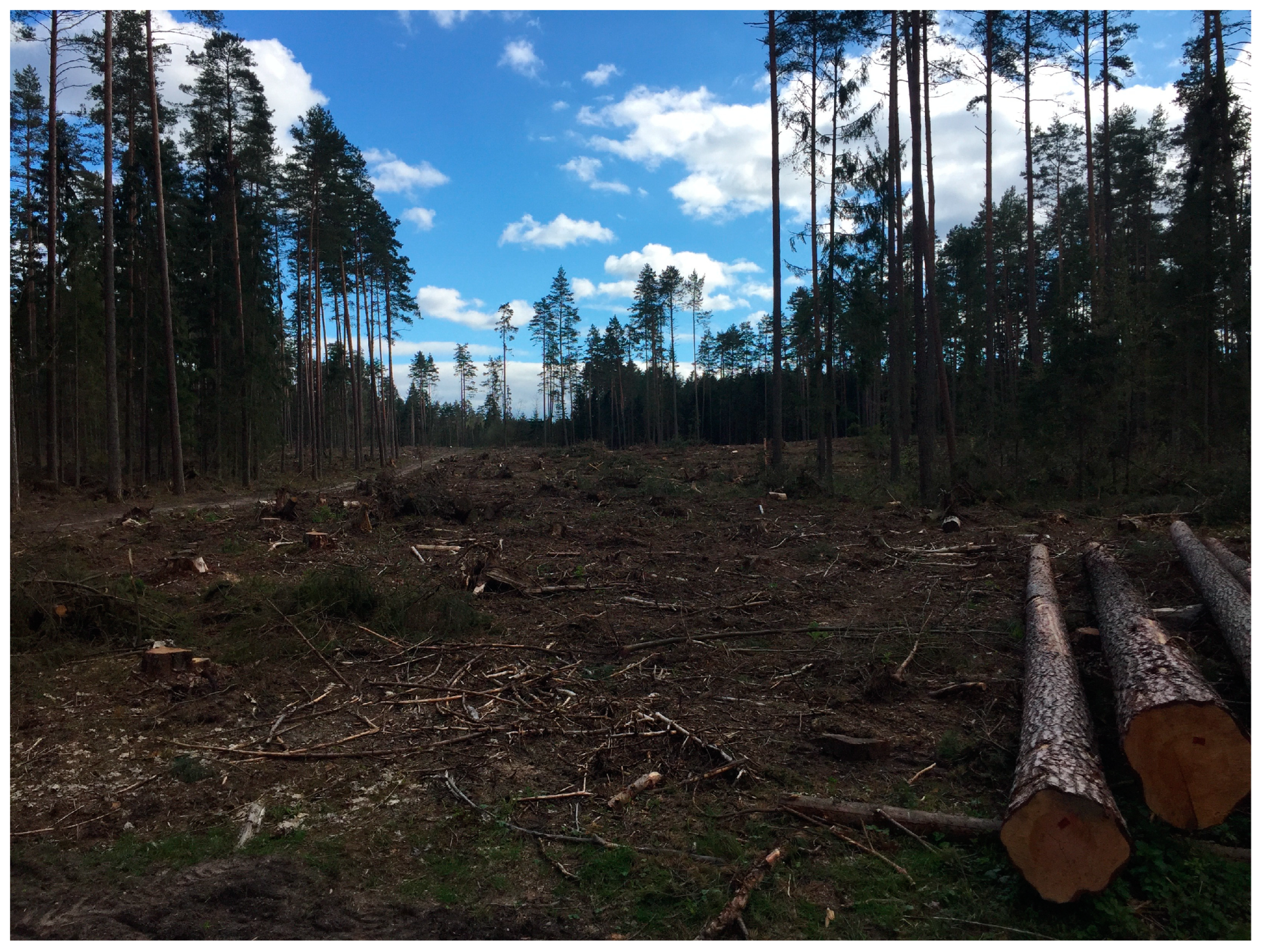 Energies 17 06392 g005