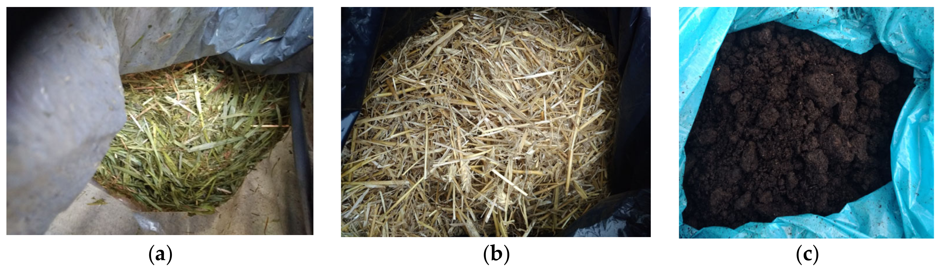 Energies 17 06410 g001