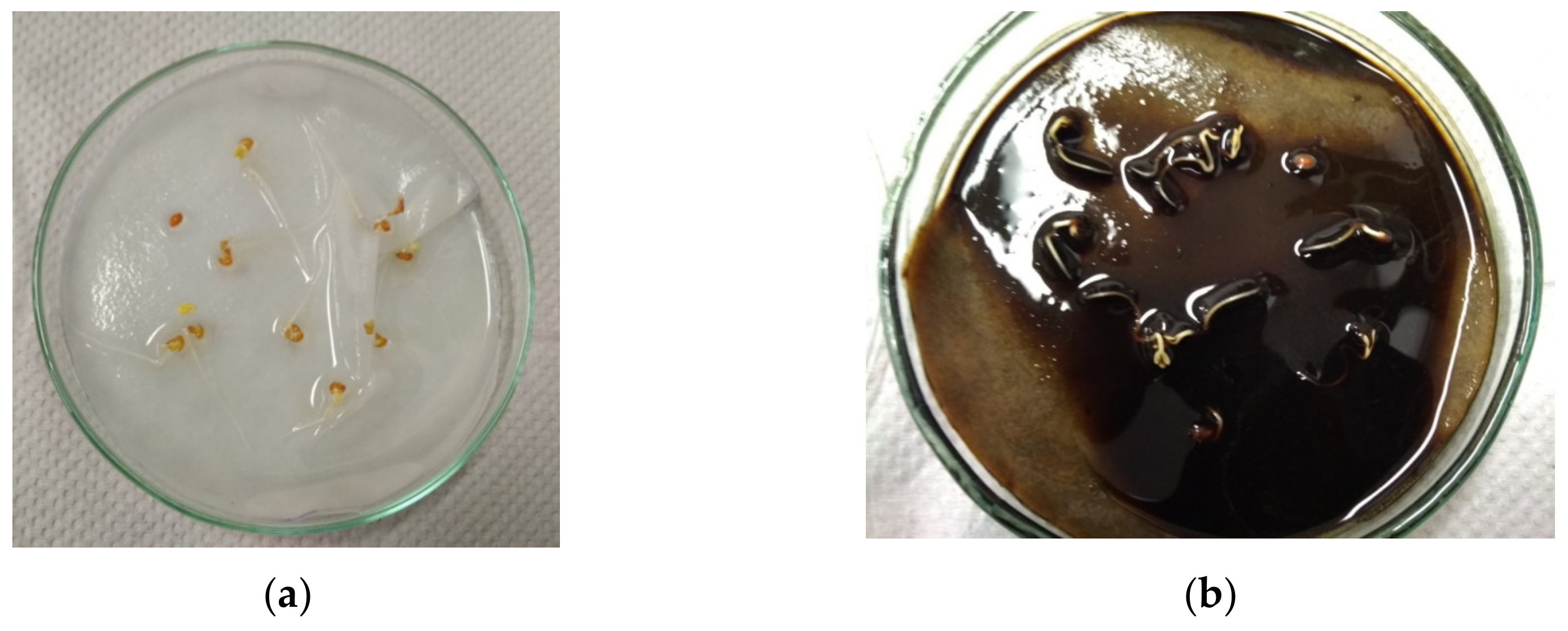 Energies 17 06410 g012