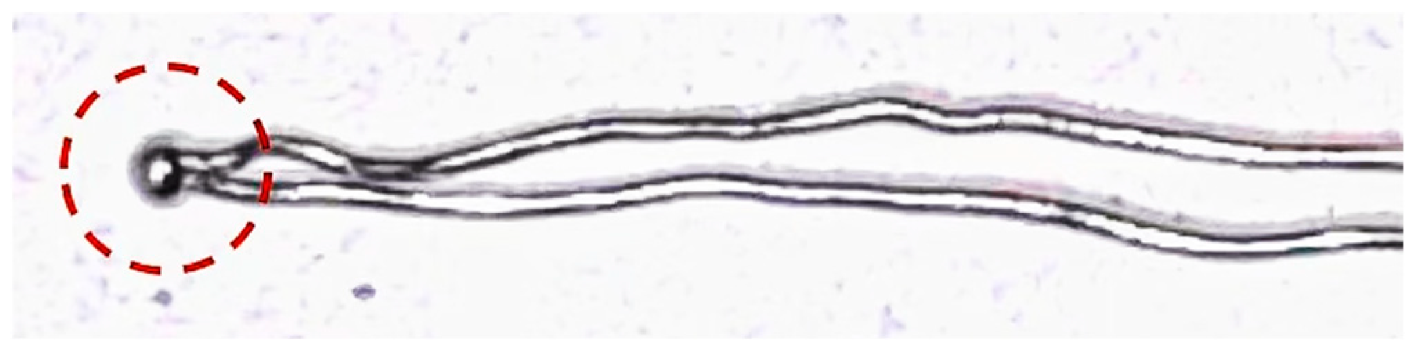 Energies 18 00468 g001