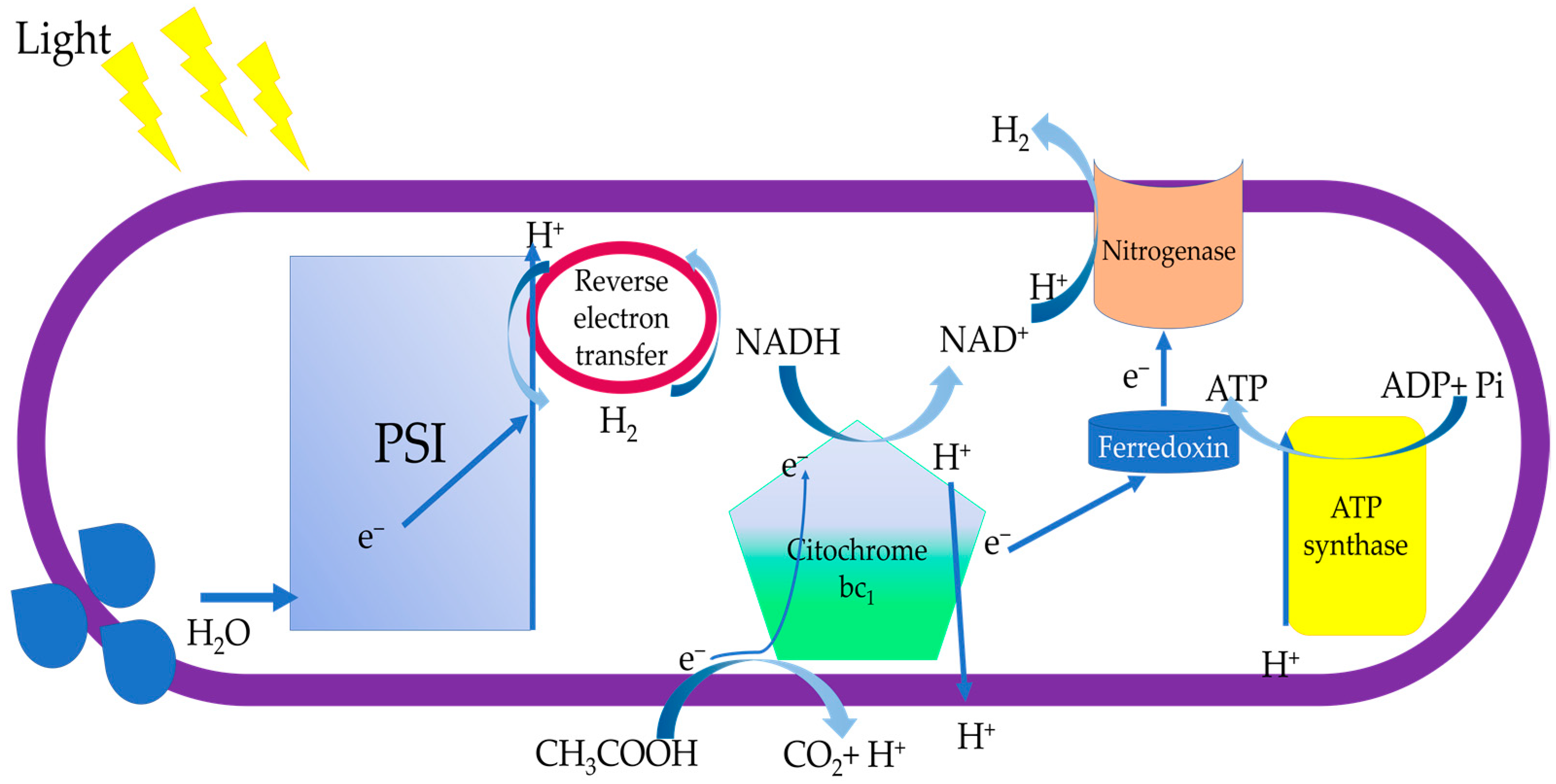 Energies 18 00709 g002