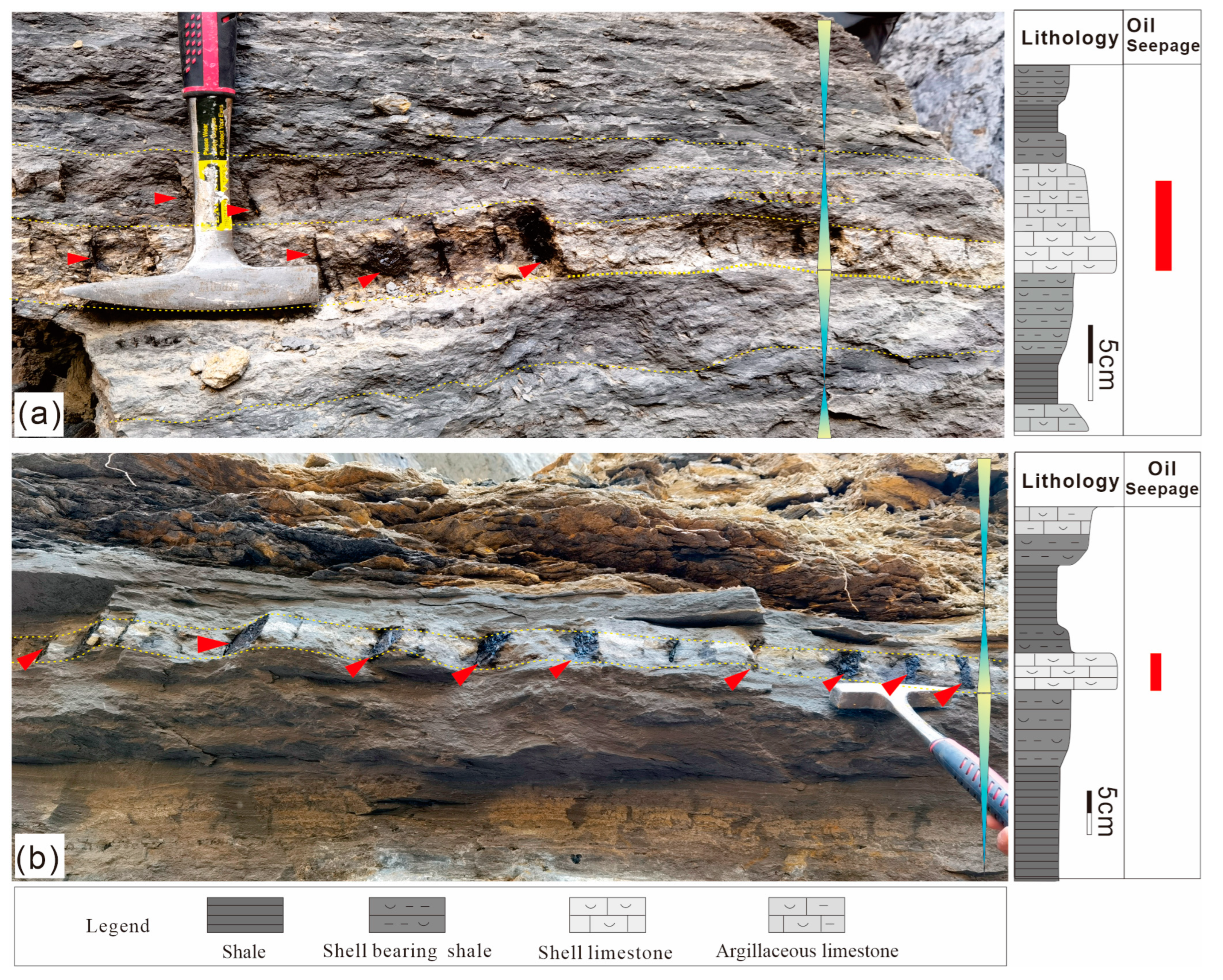 Energies 18 01004 g007