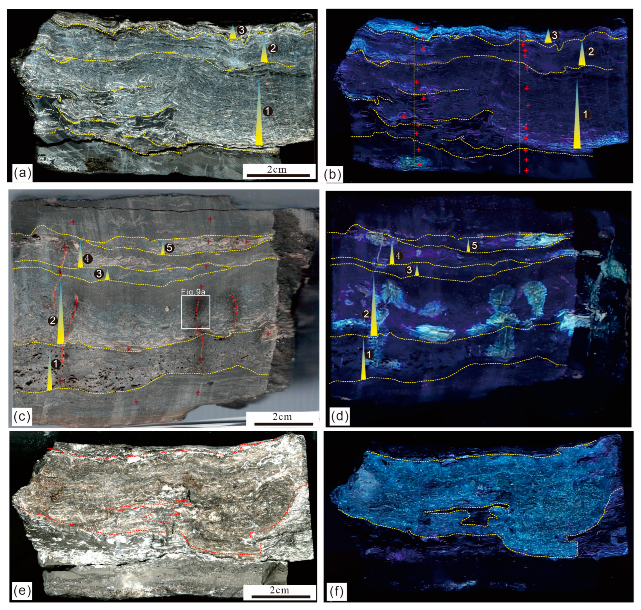 Energies 18 01004 g008