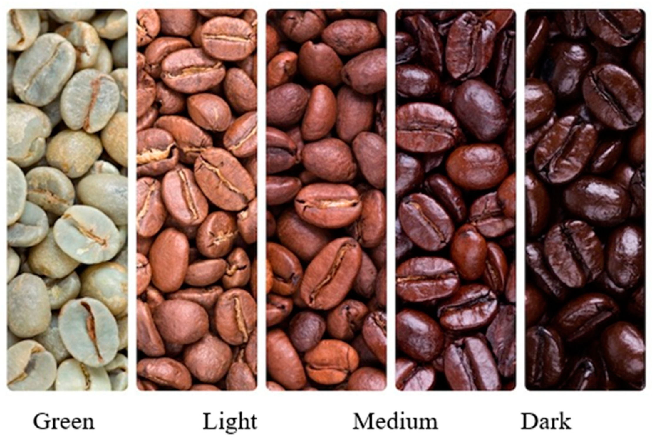 Energies 18 01018 g002