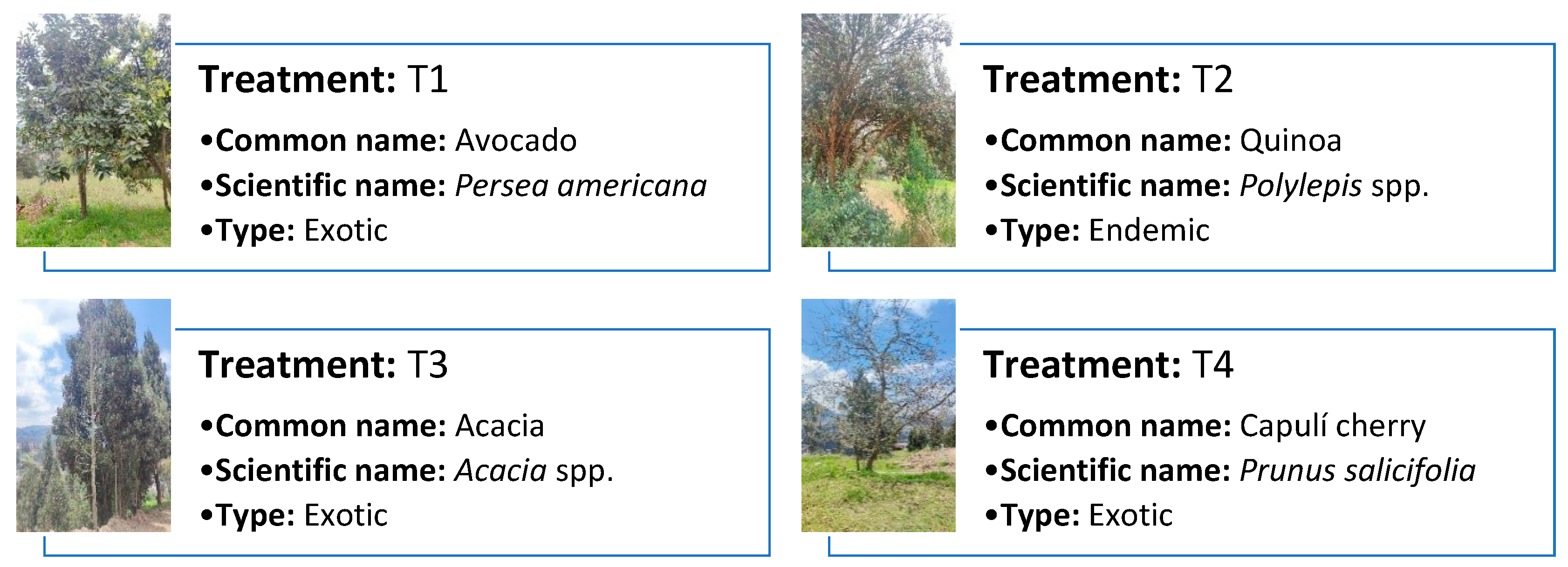 Energies 18 01027 g001 Energies 18 01027 g001