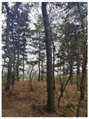 Energies 18 01053 i021