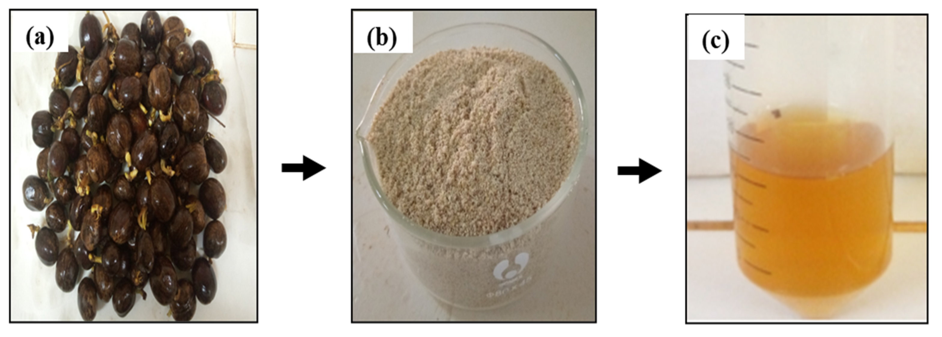 Energies 18 01252 g001