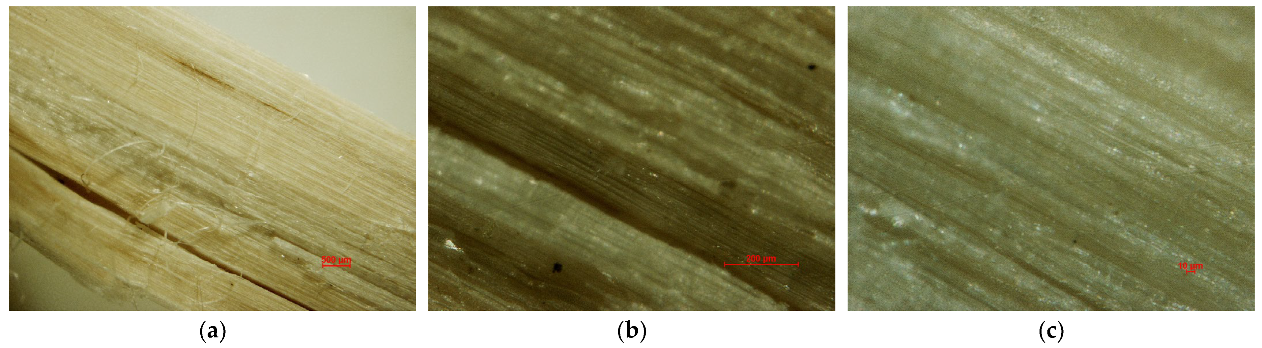 Energies 18 01441 g006