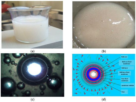 Fuzzy-Ball Fluids: Fundamentals, Mechanisms, and Prospects