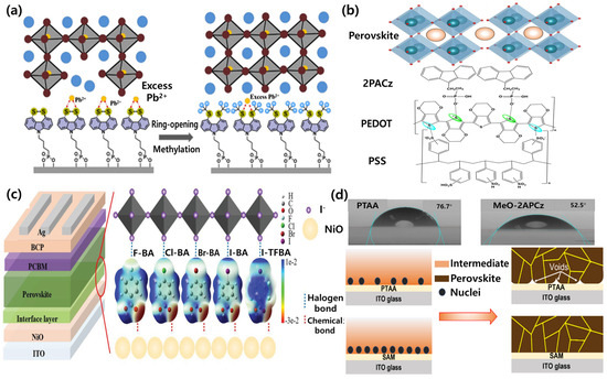Vacuum Processability of Self-Assembled Monolayers and Their