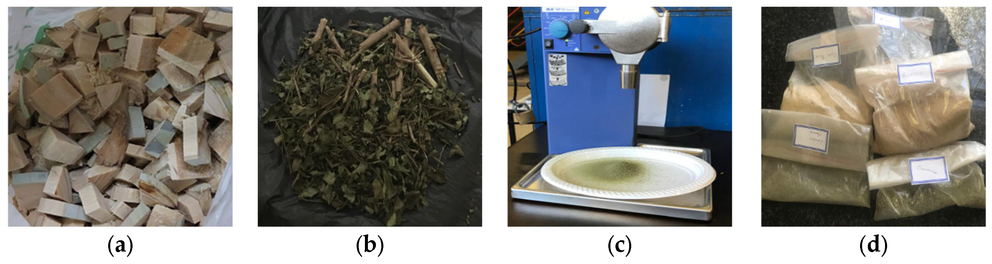 Energies 18 01919 g001