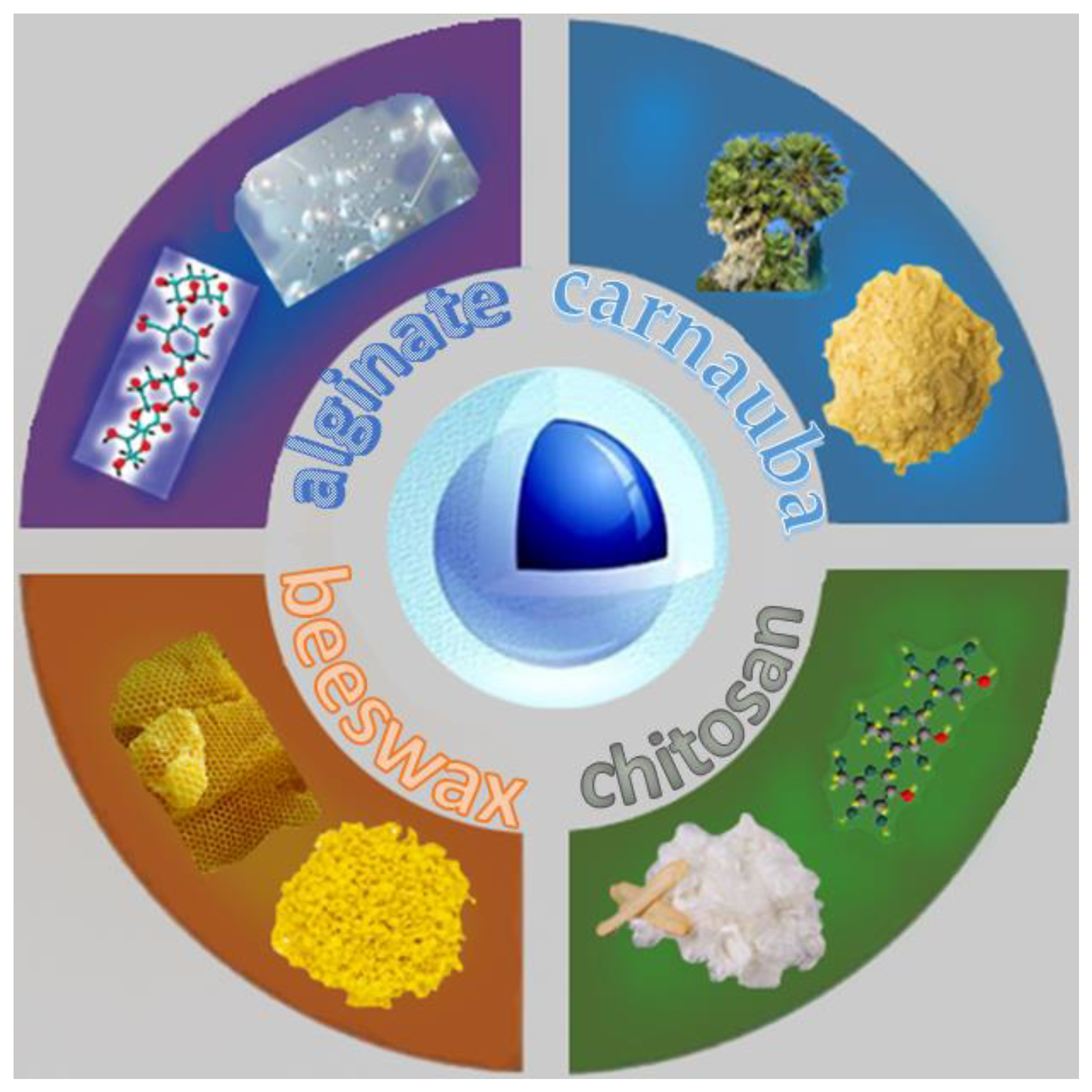 Energies 18 02127 g003